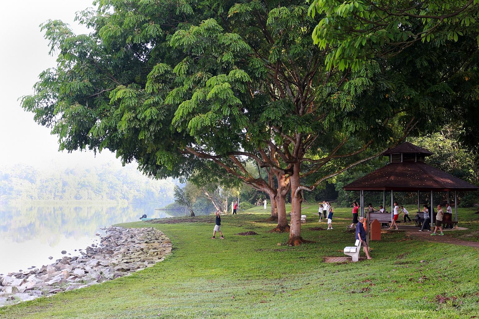 The Lower Peirce Reservoir Park (above) is home to many animals, such as snakes and wild boar.
