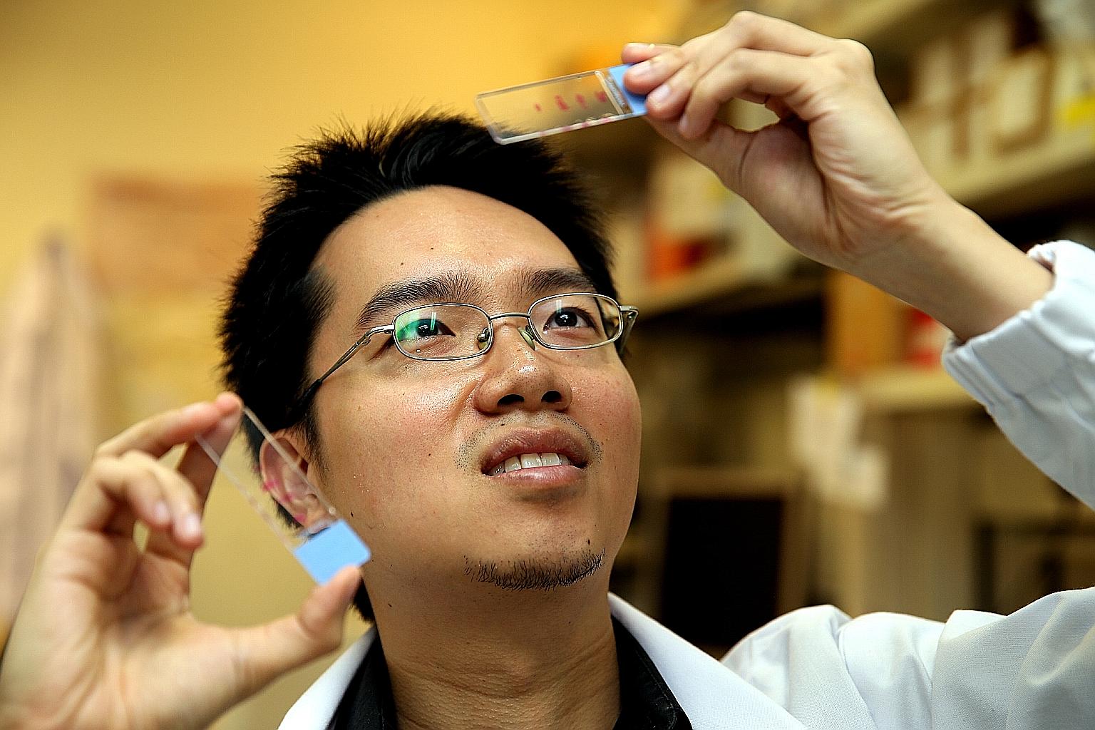 Dr Ng Shyh Chang and his team at the Genome Institute of Singapore at A*Star hope to achieve the "holy grail" for ageing research - to reset adult cells partially to young adult cells instead of embryonic-like stem cells.