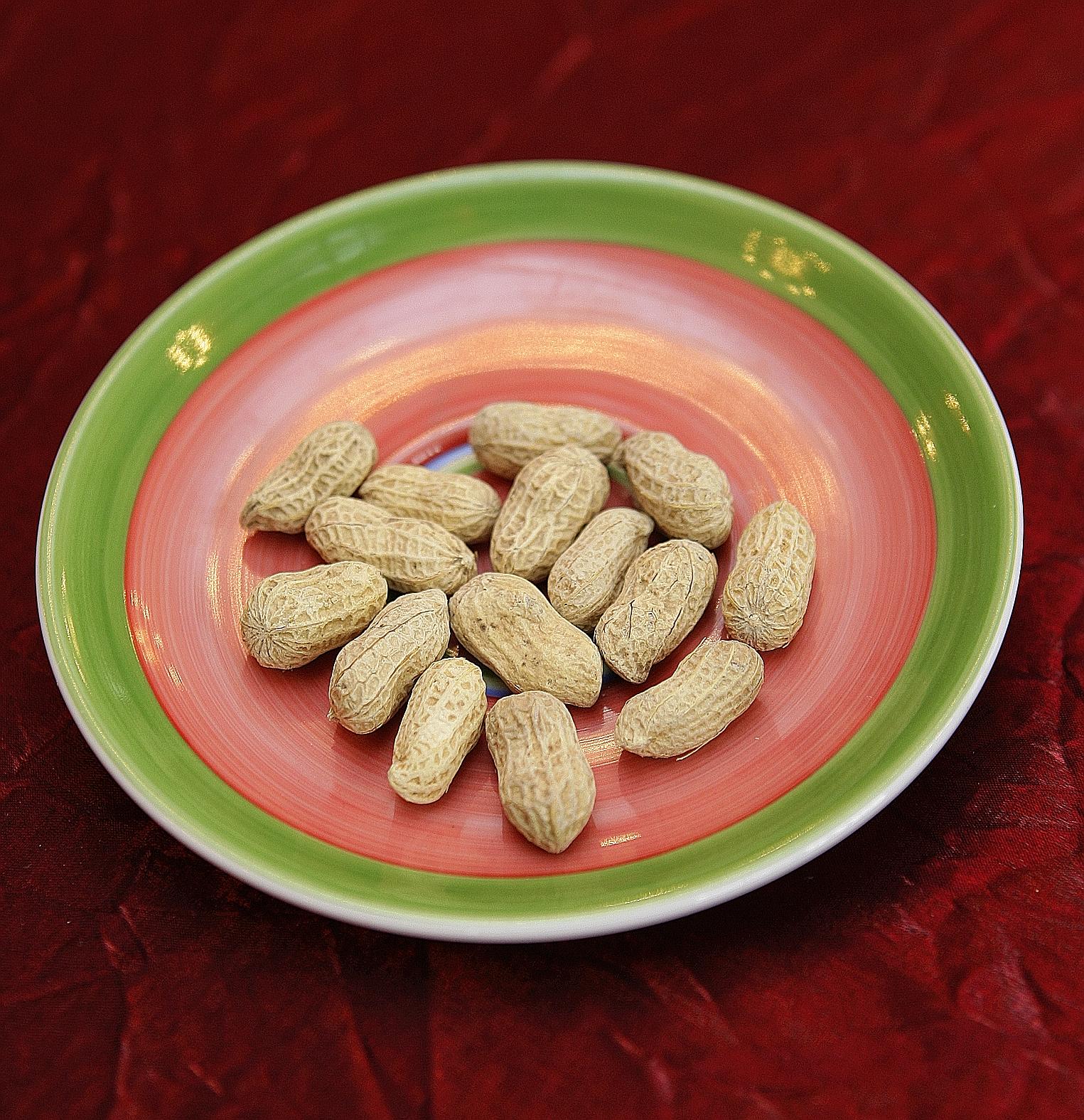 Studies indicate that the longer one waited to introduce peanuts to a baby, the higher the risk of him or her developing a peanut allergy.