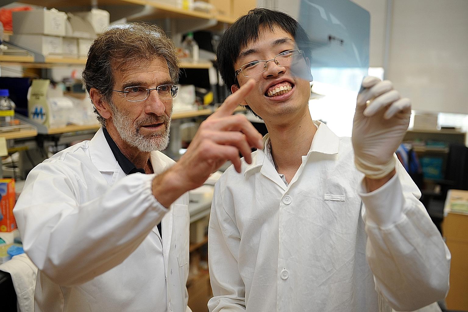 Professor Daniel Tenen (left), director of the Cancer Science Institute of Singapore, and Mr Tan Hong Kee, 26, an NUS Graduate School student, looking through a film that measures a protein in a laboratory in CSI Singapore.