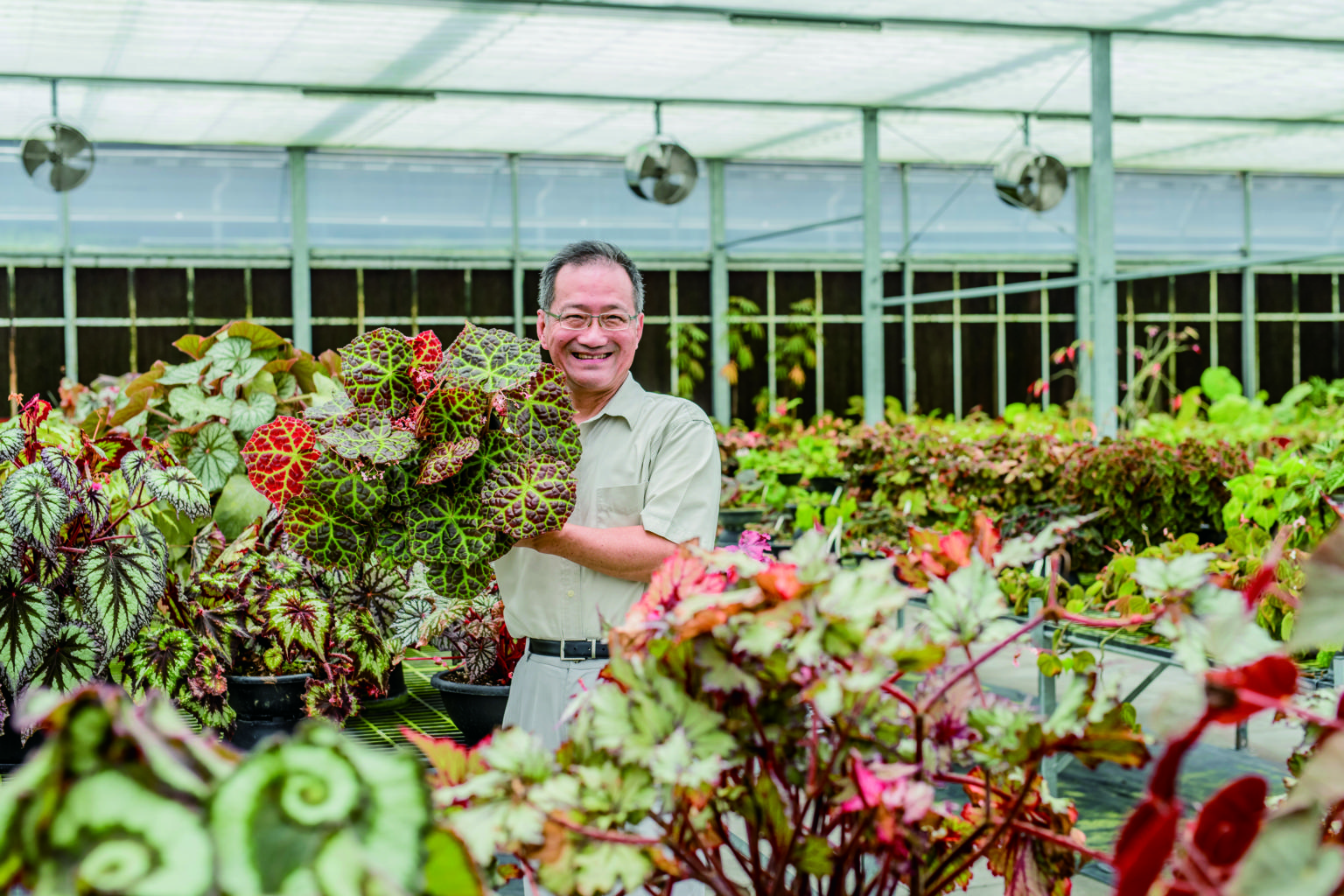Professor Li Chia-wei with the begonia rajah, a very rare flowering plant species found in the wild in Malaysia, at the Dr Cecilia Koo Botanic Conservation Centre in Pingtung County, southern Taiwan.