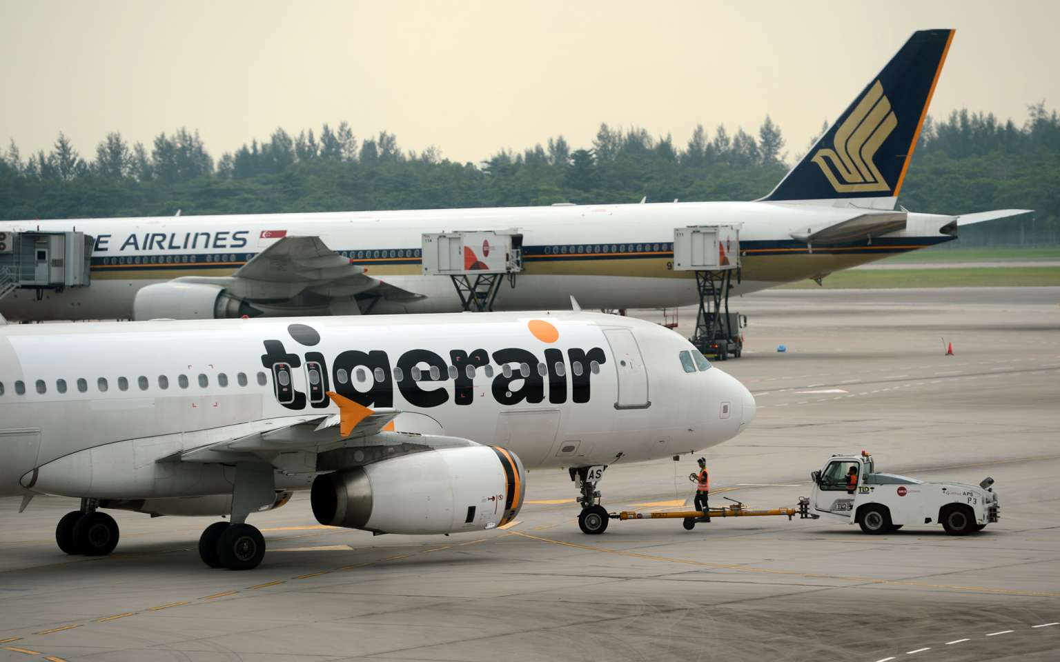 SIA not budging on offer price for Tiger Airways shares after call by Sias  to revise it | The Straits Times