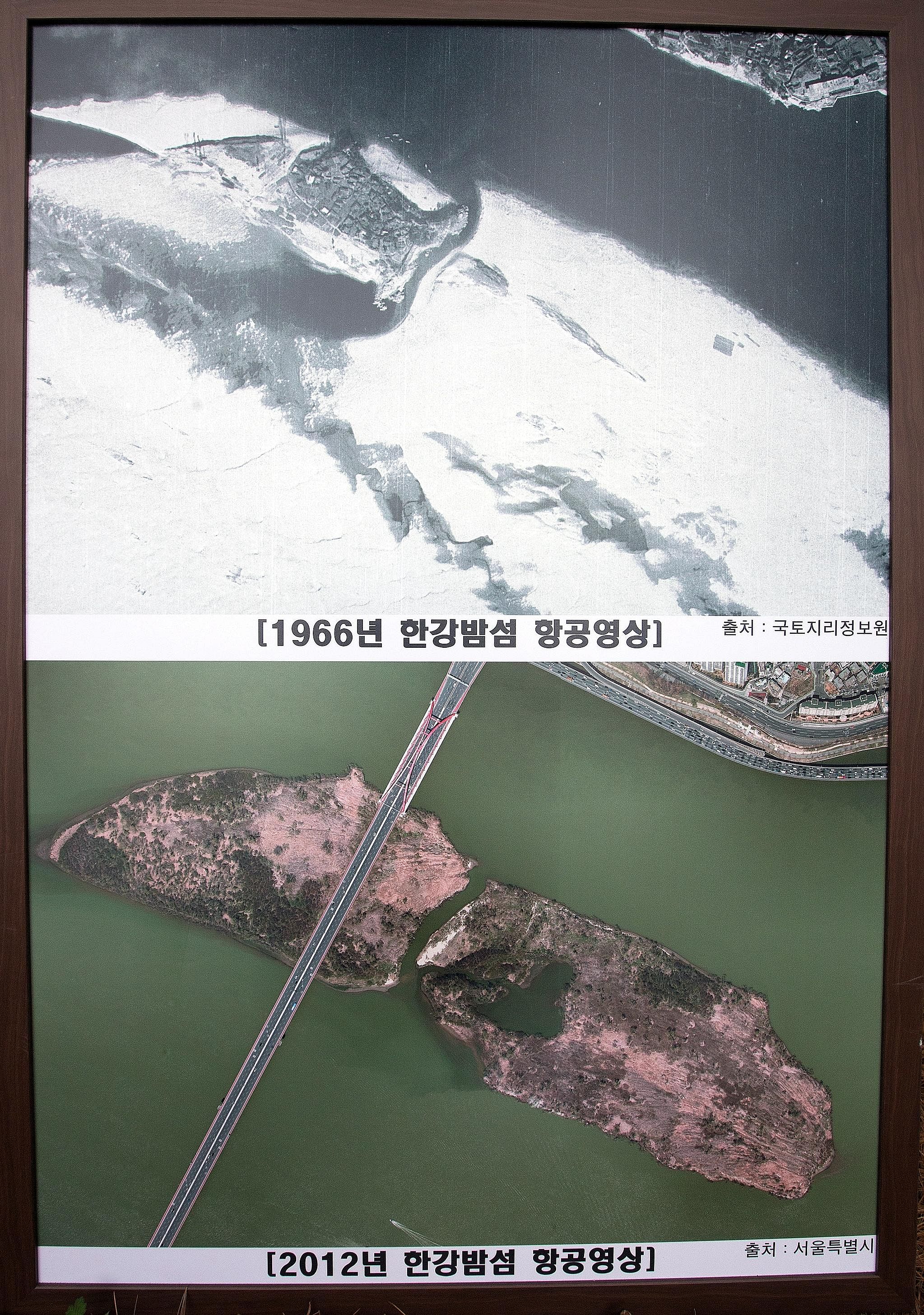 Bamseom - which means chestnut island in Korean - was "reborn" after its demolition as the river deposited sediment and sand, expanding its area by about 4,400 sq m a year. It is now about 280,000 sq m, half the size of Singapore's Coney Island and s