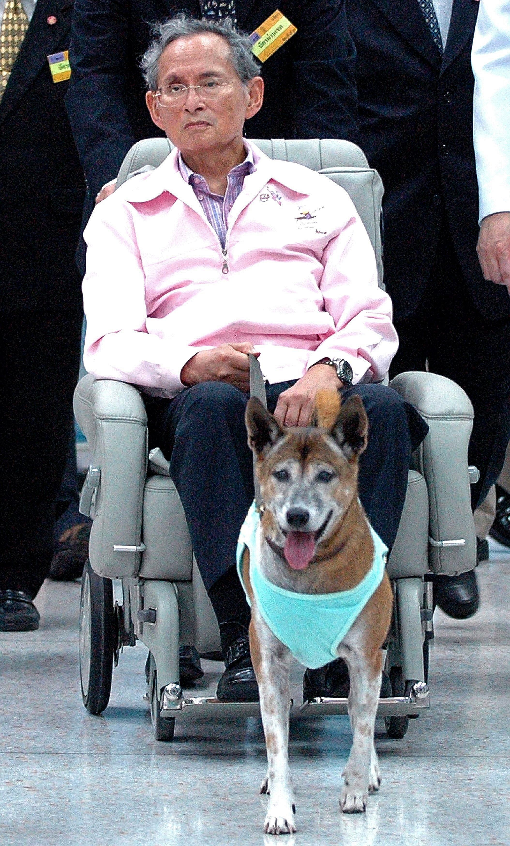 King Bhumibol Adulyadej with his dog Tongdaeng at a hospital in Bangkok in a 2010 photo. Earlier this month, Thai man Thanakorn Siripaiboon, 27, was arrested for allegedly making a "satirical" Facebook post about the King and his dog, according to hi