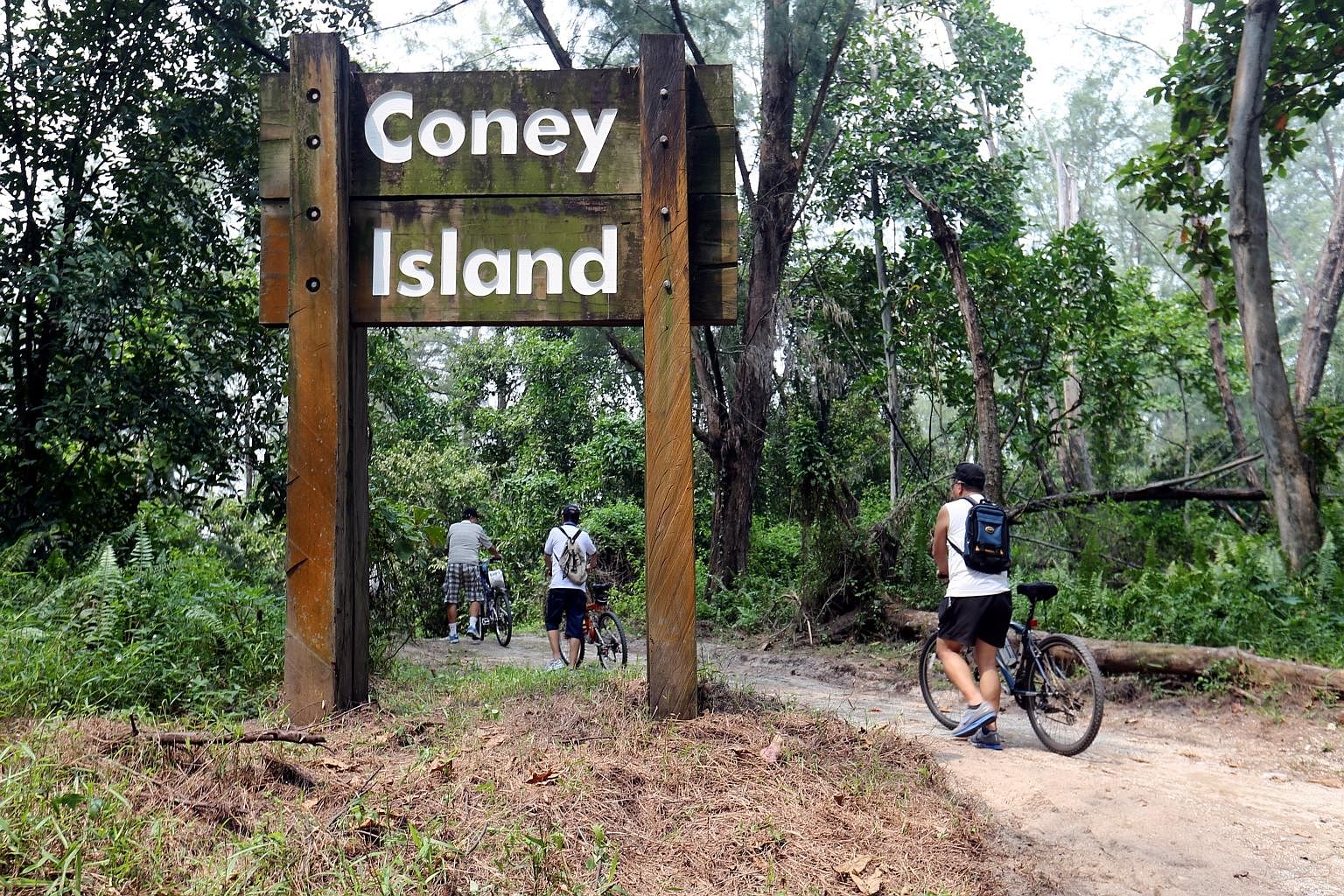 Instead of a housing development for the non-park portion of Coney Island, the writer recommends building eco-friendly structures, such as small low-rise chalets, camps and canoeing clubs, that can be integrated into the nature park area.