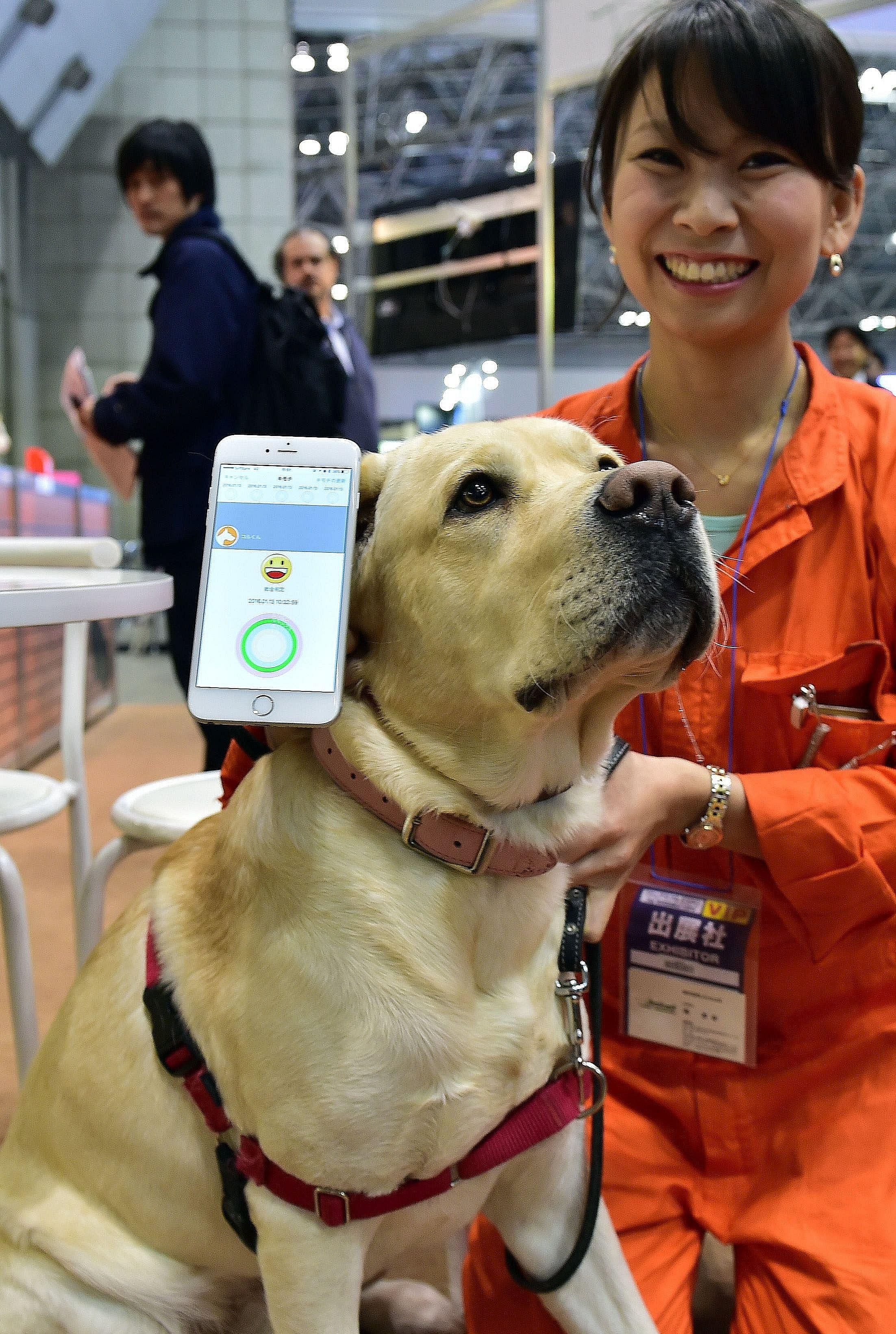 A dog with a communication device called the "Internet of Animals", developed by Japanese electronics firm Anicall, at the Wearable Device Technology Expo in Tokyo on Wednesday. The device is equipped with sensors to detect motion, temperature and ai