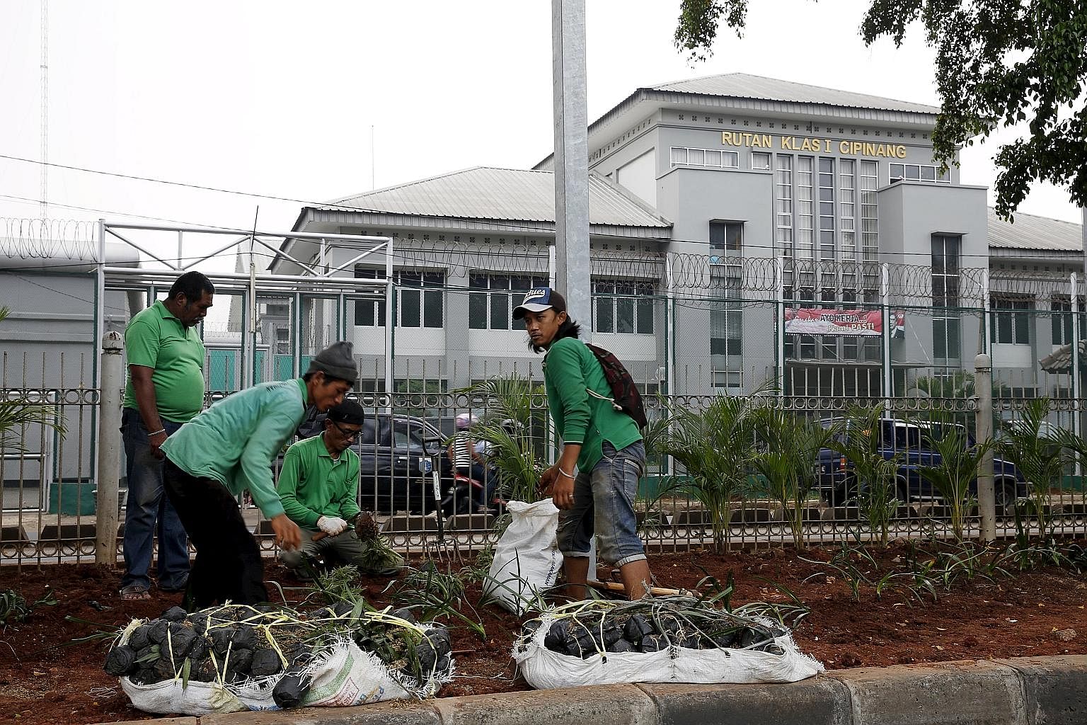 Labourers doing planting work in front of Cipinang prison, where one of the four men who carried out the Jan 14 attacks in Jakarta was influenced by fellow convict and firebrand cleric Aman Abdurrahman while an inmate. Some terrorist recidivists whom