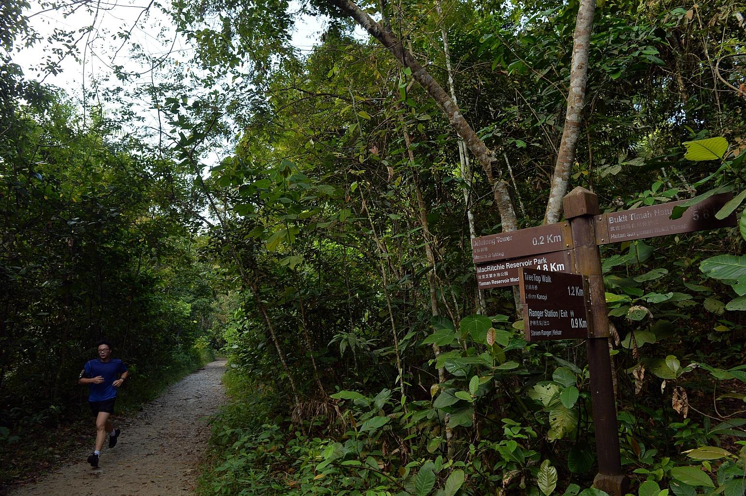 Having the Cross Island Line cut through the Central Catchment Nature Reserve involves building a 2km tunnel approximately 40m deep beneath the reserve's MacRitchie area. There would be no physical structures on the surface. Nature groups had earlier