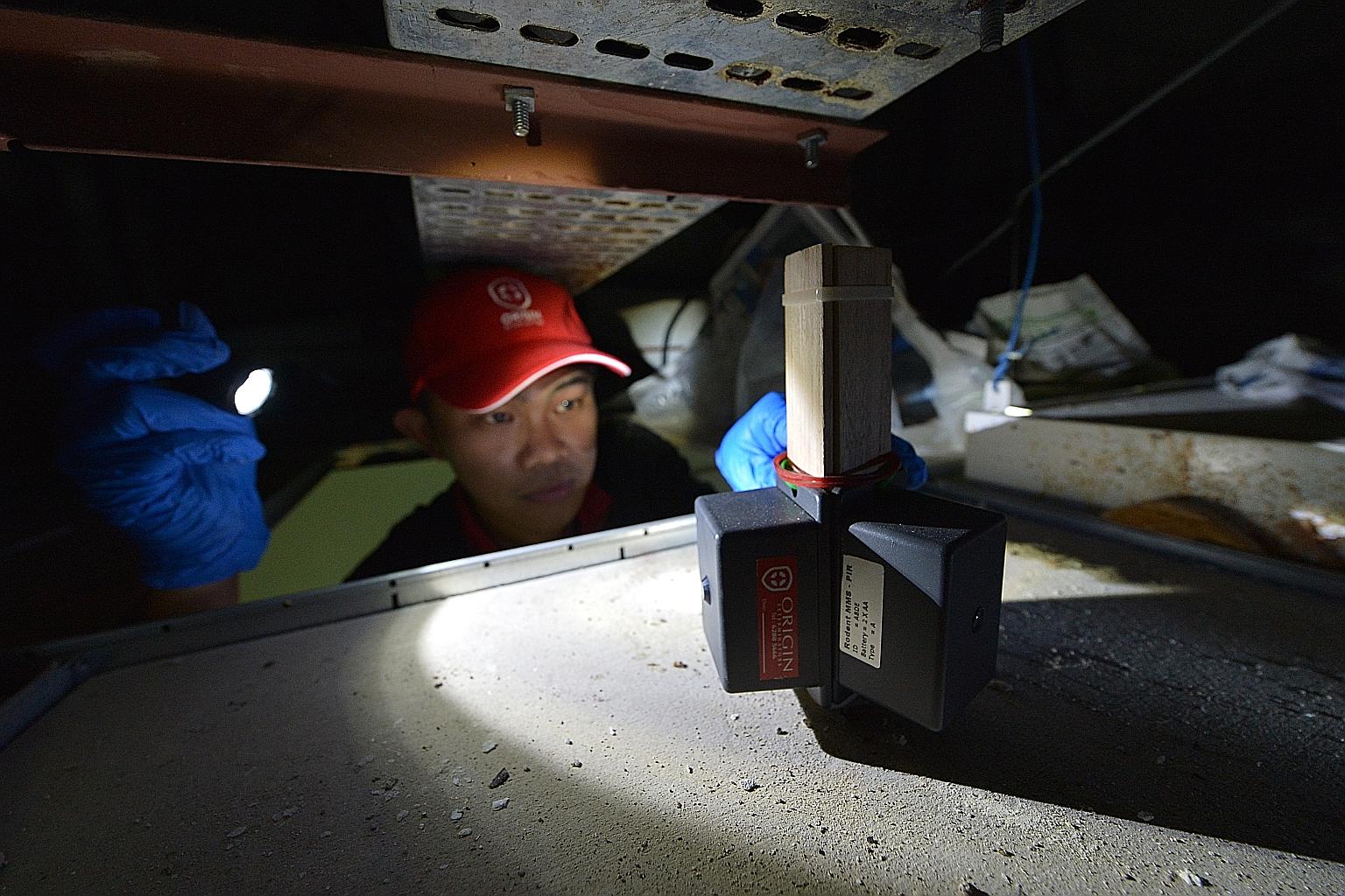 Using data to study rat movements and the rodents' colony is the way forward, experts say. Here, Mr Tan Soon Tat, customer care executive at Origin Exterminators, checks on a Ratsense system deployed in a ceiling space. The technology is designed to