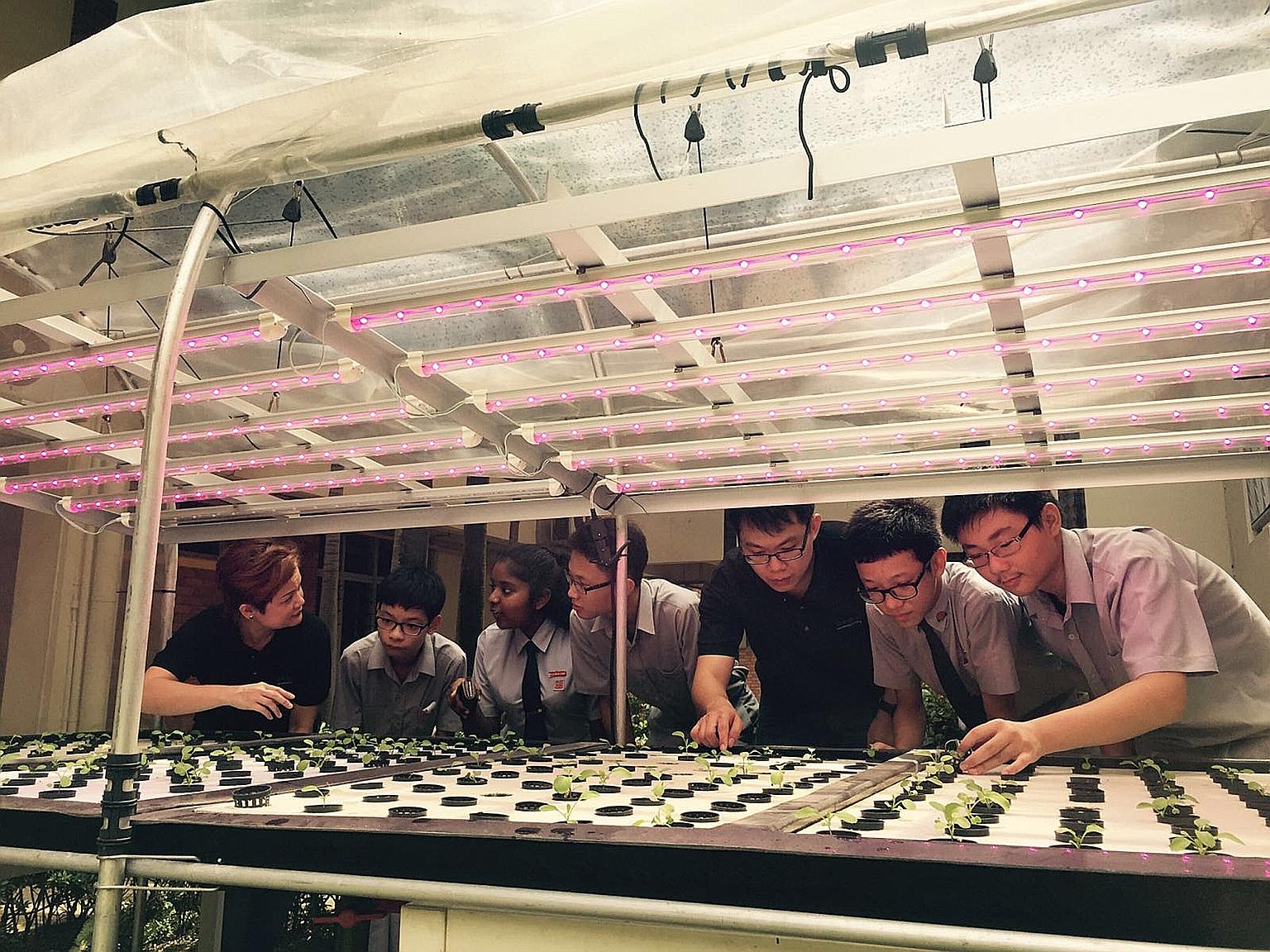 Giving back to society is serious business at eco-friendly packaging company Greenpac. It appraises its 45 employees on their participation in volunteer work. One instance is how they nurtured a culture of food self-sufficiency by teaching students a