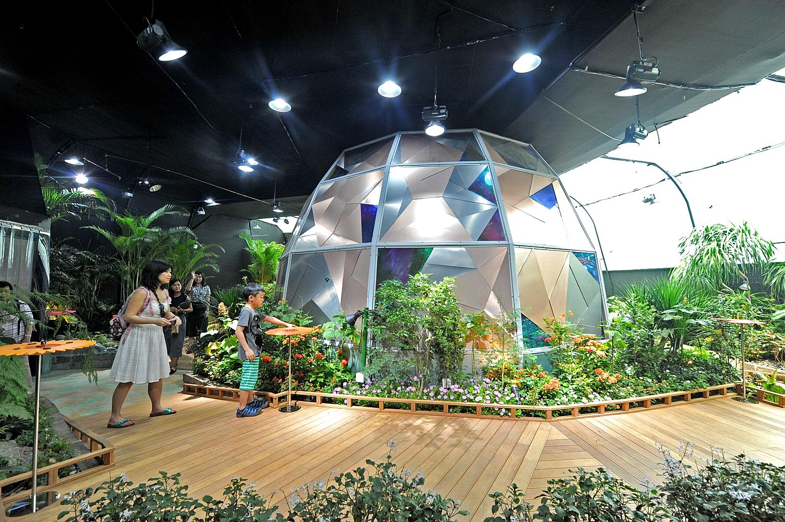 The Science Centre hopes visitors to its butterfly sanctuary will be enchanted by the aerial dynamics of more than 500 of the fragile beauties.