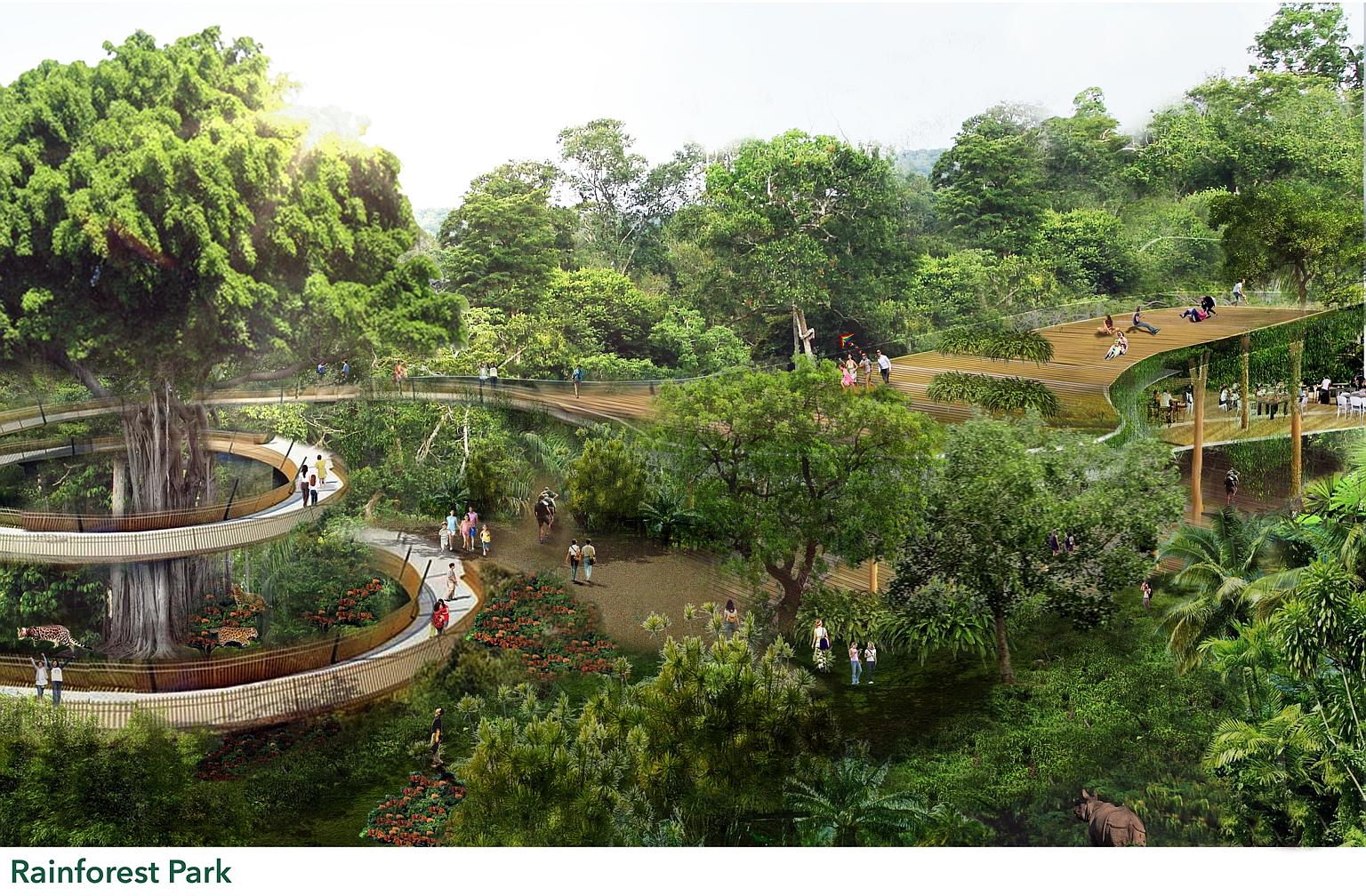 An artist's impression of the Rainforest Park, a new wildlife park to be built in the Mandai nature precinct, expected to be completed by 2023. The first phase of development, which covers construction of the park and the relocated Bird Park, could s
