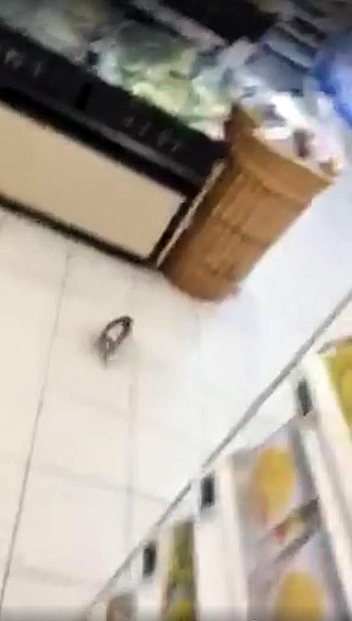 The rat problem came to light after Facebook user Sun Yu Ming uploaded photos and a video of a rat in the FairPrice outlet at Kang Kar Mall on Monday and Tuesday. The minute-long video shows a rat scurrying out towards the vegetable section.