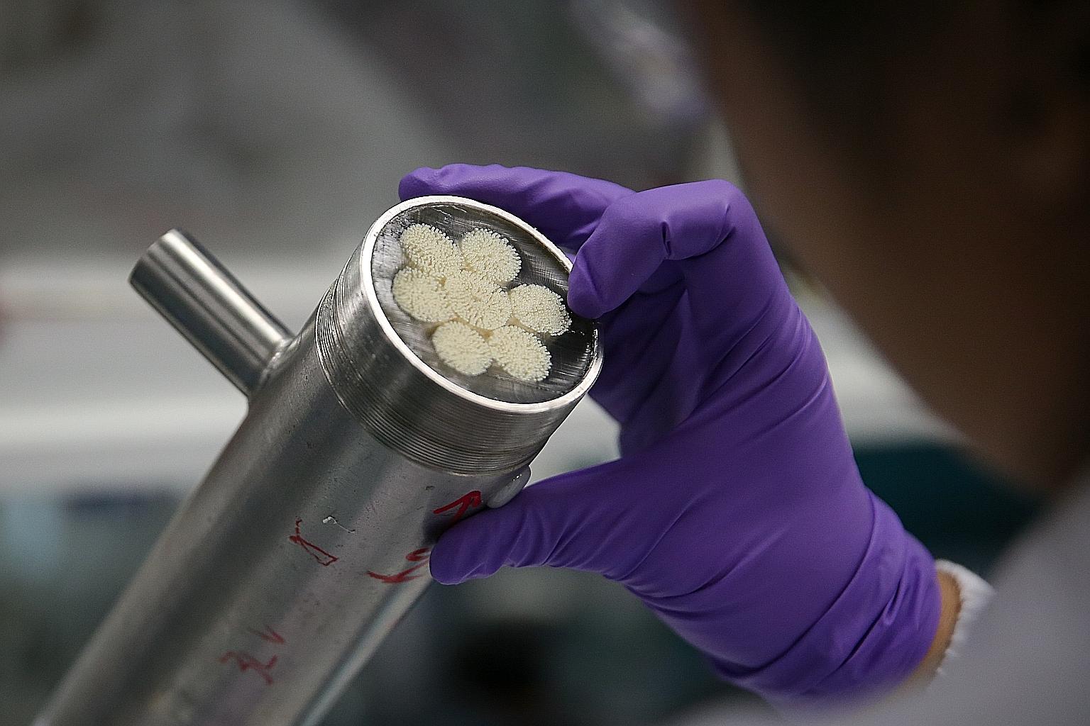 Thin-film hollow fibre membranes at the Singapore Membrane Technology Centre. The new Start centre will have the same capabilities to produce these membranes on a larger scale.