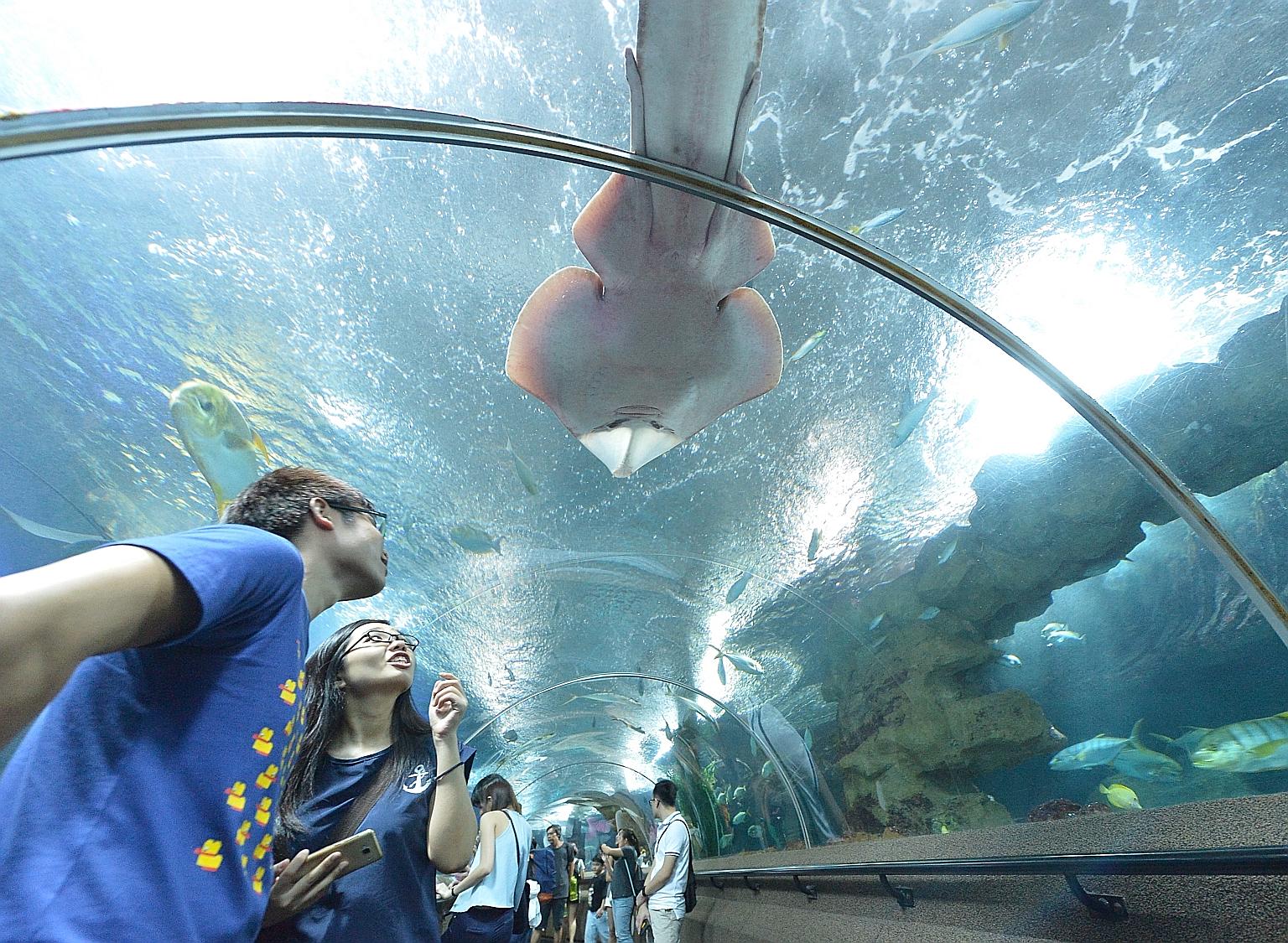 Admission prices for Underwater World Singapore were cut to 1991 prices - from $29.90 to $9 for adults and from $20.60 to $5 for children. The aquarium will close on June 26.