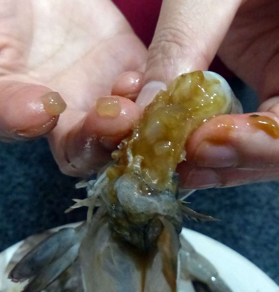 Tests are being done to identify the "translucent blobs" discovered in the prawns purchased by Madam Huang. 
