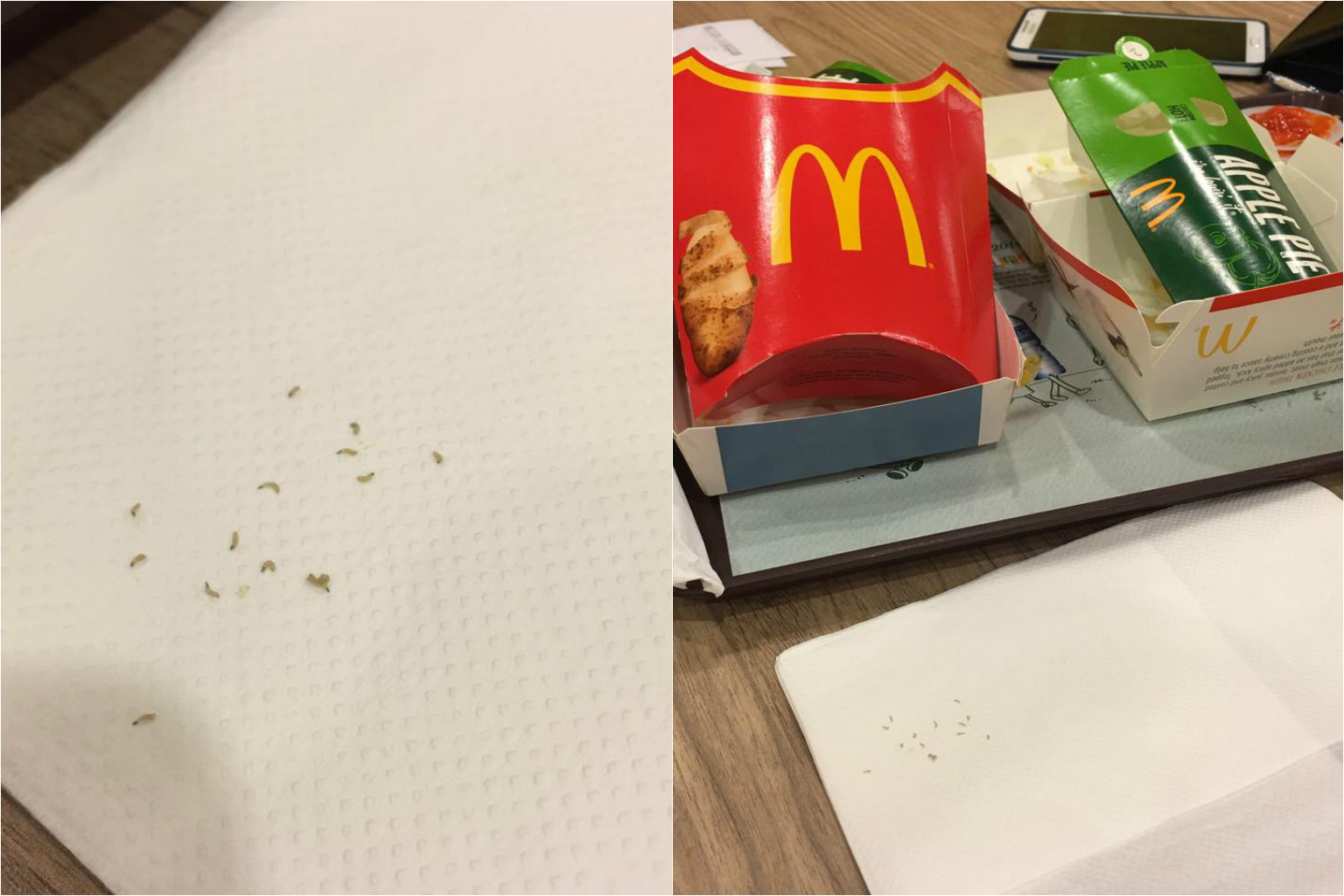 McDonald's says 'no evidence of pests' after customer's claim of worms ...