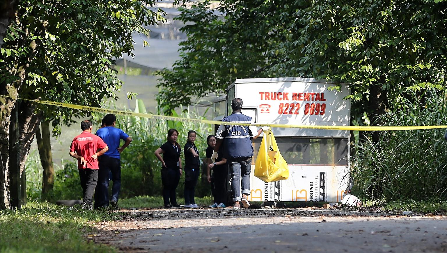 Ms Cui's decomposed remains were found in Lim Chu Kang (above) last Wednesday. Lianhe Zaobao reported that a man claiming to be Ms Cui's father solicited donations at a Chinatown food centre on Saturday.