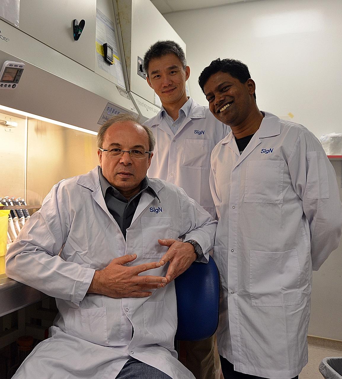The team from A*Star's Singapore Immunology Network who are involved in the study on basophil anergy include (from left) Dr Olaf Rotzschke, Dr Kia Joo Puan and Dr Andiappan.