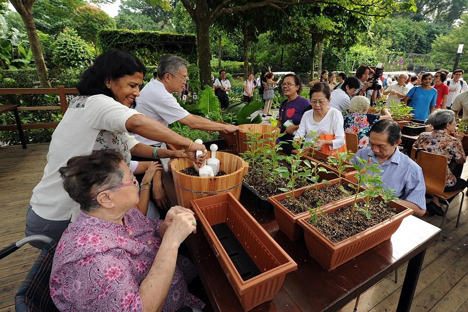 The therapeutic garden at HortPark has customised benches for potting, moveable raised beds and access to water. All these make it more convenient for the elderly and wheelchair users to join group gardening activities.