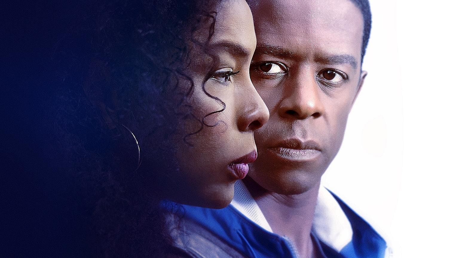 Sophie Okonedo plays a British criminal defence and human rights lawyer and Adrian Lester (both above) is her devoted husband. Danny McBride (from left), Kimberly Hebert Gregory and Walton Goggins in Vice Principals.