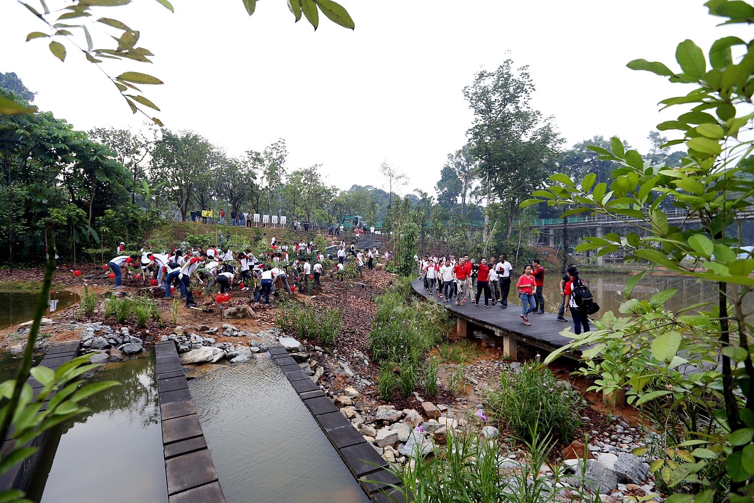 Over 200 species of plants have been chosen for cultivation at the Keppel Discovery Wetlands, and flood conditions are restored by constructing weirs to impede drainage and accumulate water.