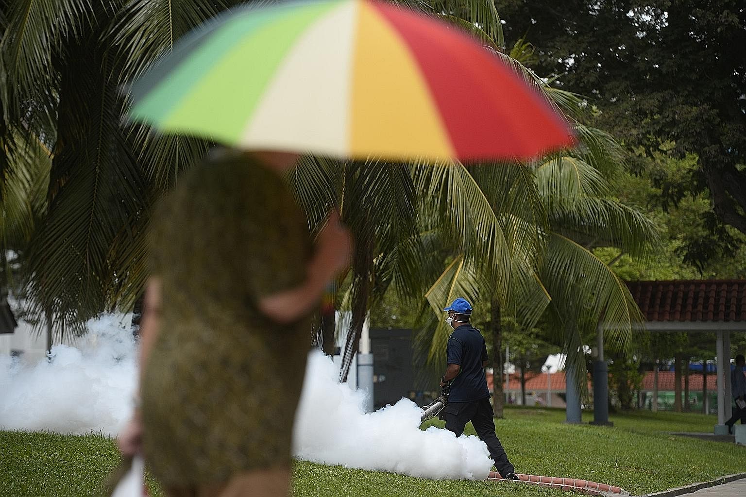 Fogging operation near Block 409 Bedok North Avenue 2 on Thursday. Zika infection does not pose a risk of birth defects for future pregnancies, if it is more than two months after the woman has recovered from Zika.