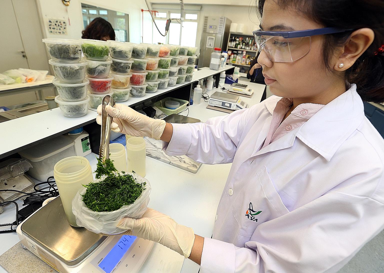 A member of the AVA's Pesticide Residues Section weighing a vegetable sample. Each day, 30 to 40 samples of food products are tested for hundreds of pesticides simultaneously at the lab. Food science experts also said that just because something is d