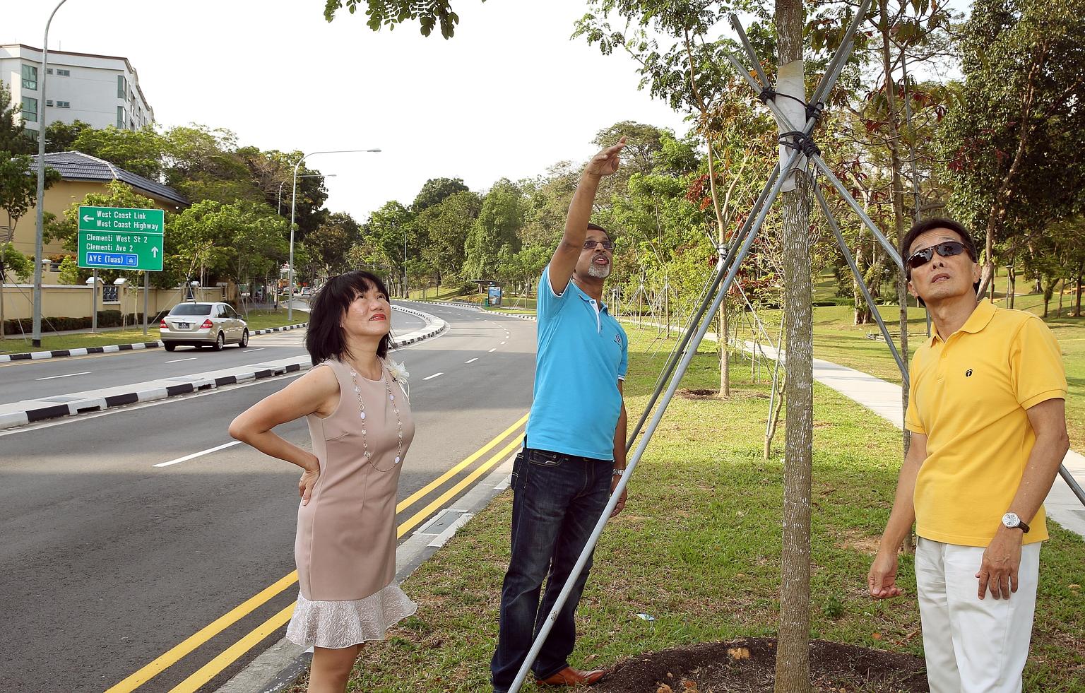 West Coast Park NC helped keep the area's leafy look despite road widening. From far left are: Dr Coral Lai, Mr Prakash Kumar Hetamsaria and Mr Ng Seng Chong.