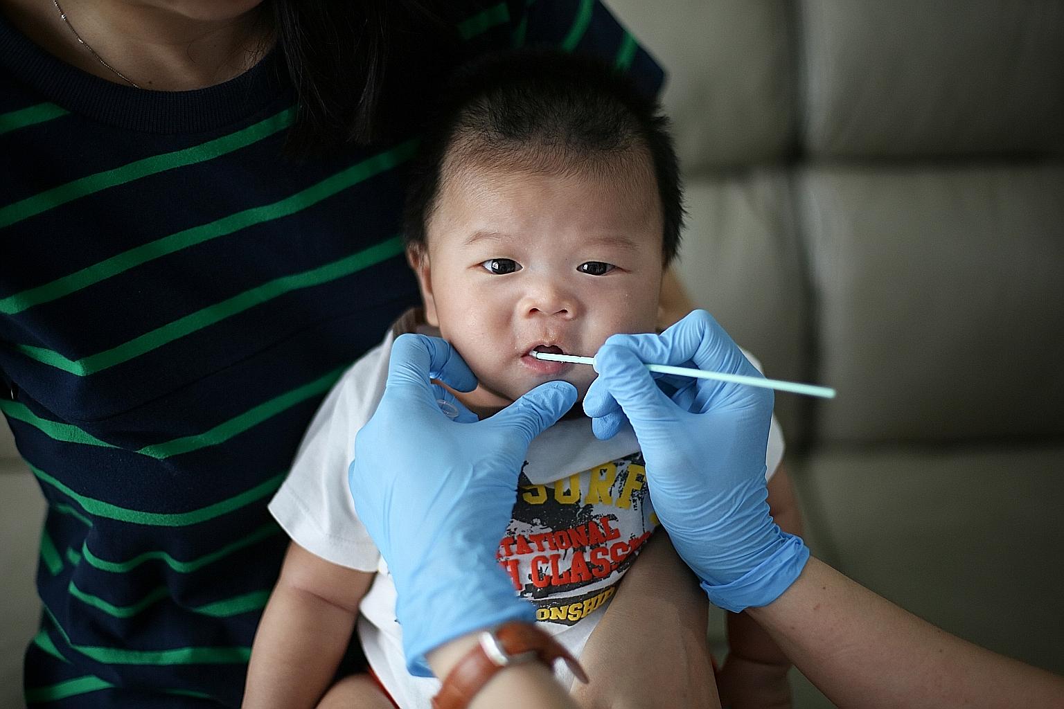 Three-month-old Jasper Ting having his cheek swabbed by a Nipper researcher during a home visit. Nipper is a study looking into whether a special drink containing myo-inositol taken by a mother before she conceives and throughout her pregnancy could