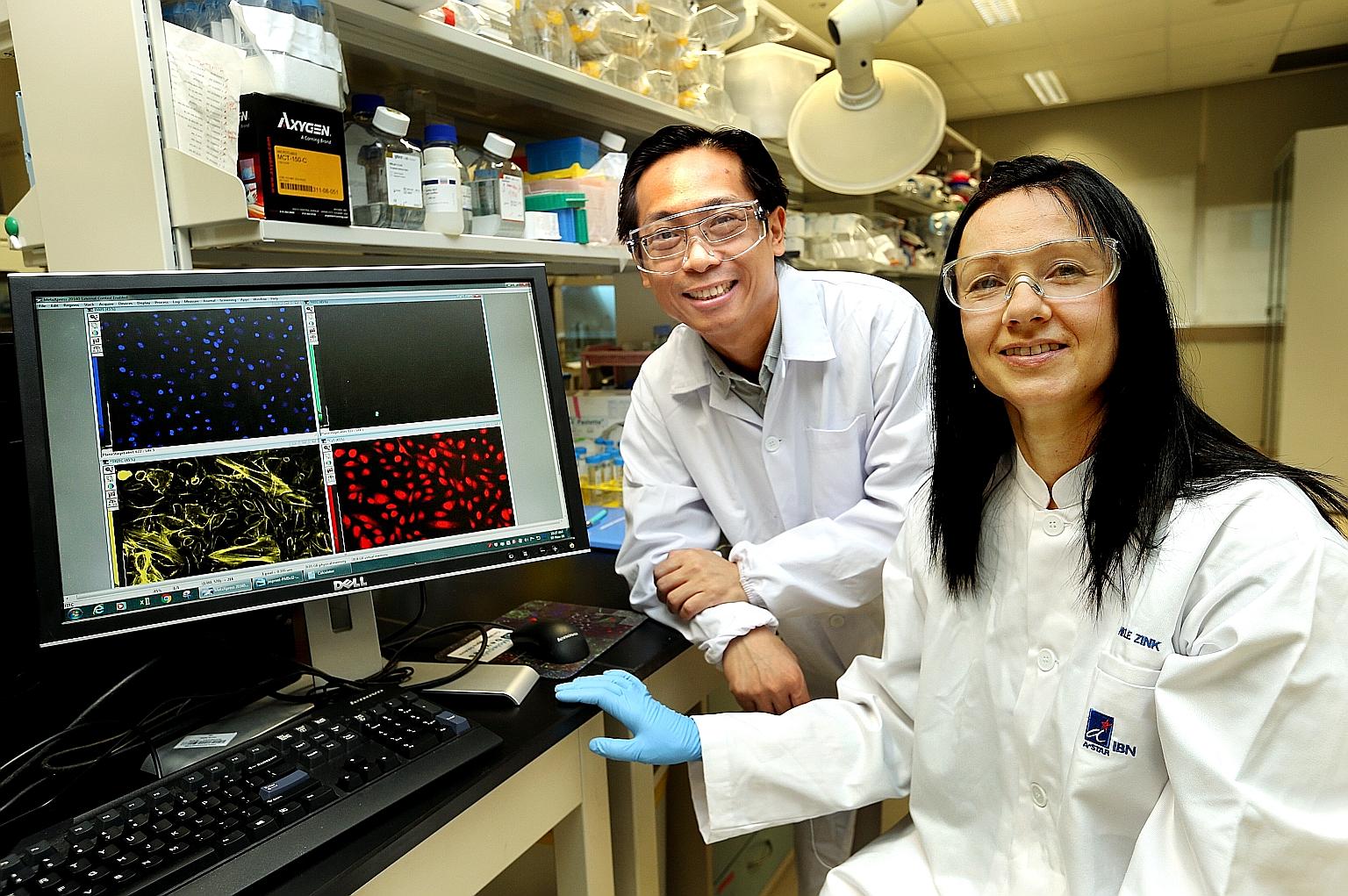 Dr Loo Lit Hsin and Dr Daniele Zink from A*Star received the Lush Prize for Science on Friday in London for developing an animal-free automated procedure to predict the toxic effects of chemicals on the human kidney.