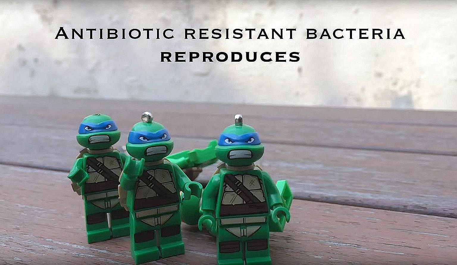 Deanna is seen in a screen grab from her winning entry. The 17-year-old explains antibiotic resistance using a lively mix of hand-drawn art, stop-motion video featuring Lego figurines and good old-fashioned piece-to-camera storytelling.