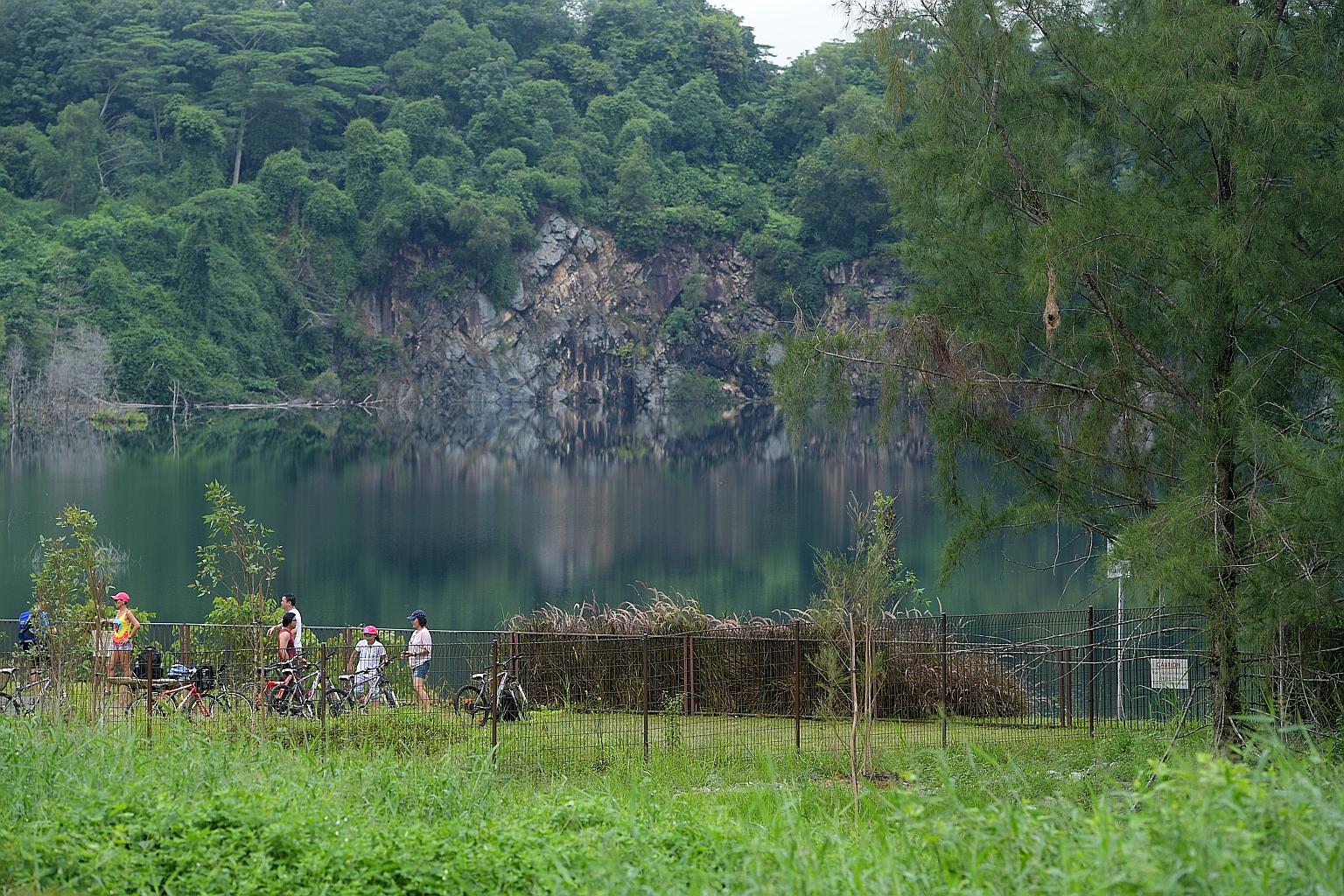 A nest hangs from a tree (right) in Pulau Ubin. Last month, work was completed on a sensory trail pond which aims to provide wildlife like herons and kingfishers with habitats.