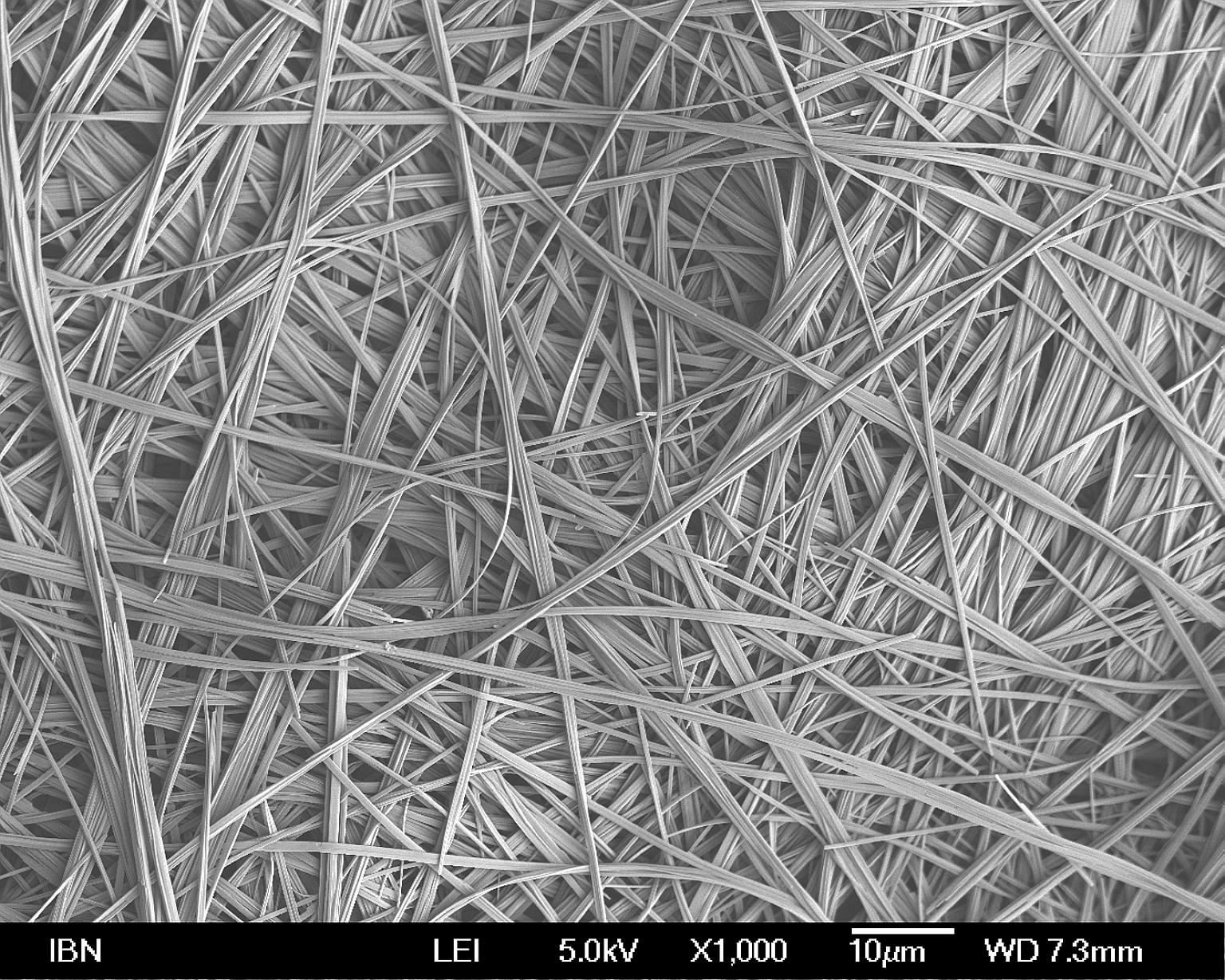 Molecules of this substance, developed by scientists at A*Star's Institute of Bioengineering and Nanotechnology, can assemble themselves into a 3D net to trap and solidify oil rapidly for easy removal.
