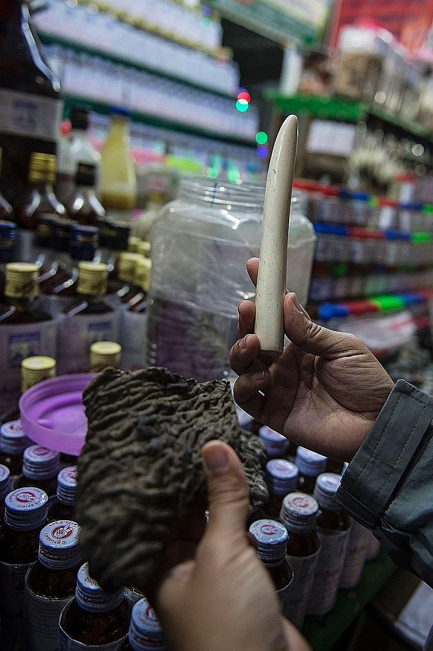 Dried elephant skin and an ivory tusk for sale at a traditional medicine shop at the Golden Rock pagoda.