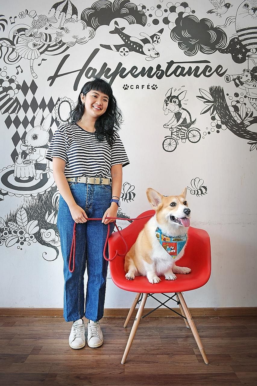 Ms Can Zhi Ying regularly dresses Muffin up in props she finds at Japanese budget store Daiso. Ms Seet Mingli started her pet's Instagram account in 2013 and posted four to five photos a week. Ms Celine Tan started the Instagram account in 2010 for h