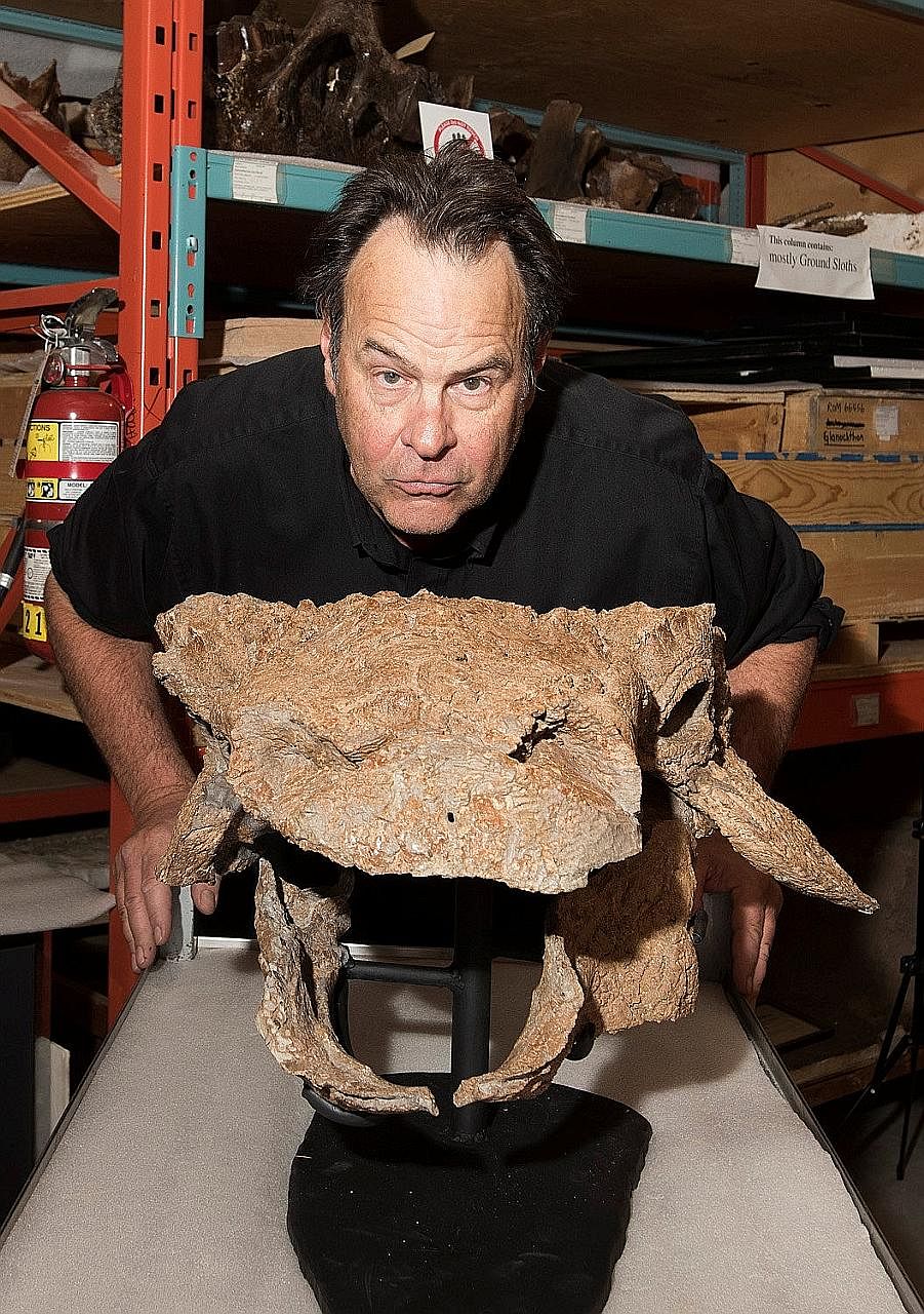 Actor Dan Aykroyd posing at the Ontario museum with fossils of the dinosaur.