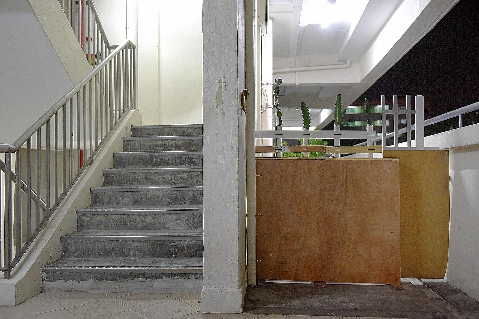 Residents at this Yishun flat have built a wall barbed with cacti to keep out a neighbour who has been splashing oil mixed with urine across their door and along the corridor in the early hours nearly every day. Balls of toilet paper and used sanit