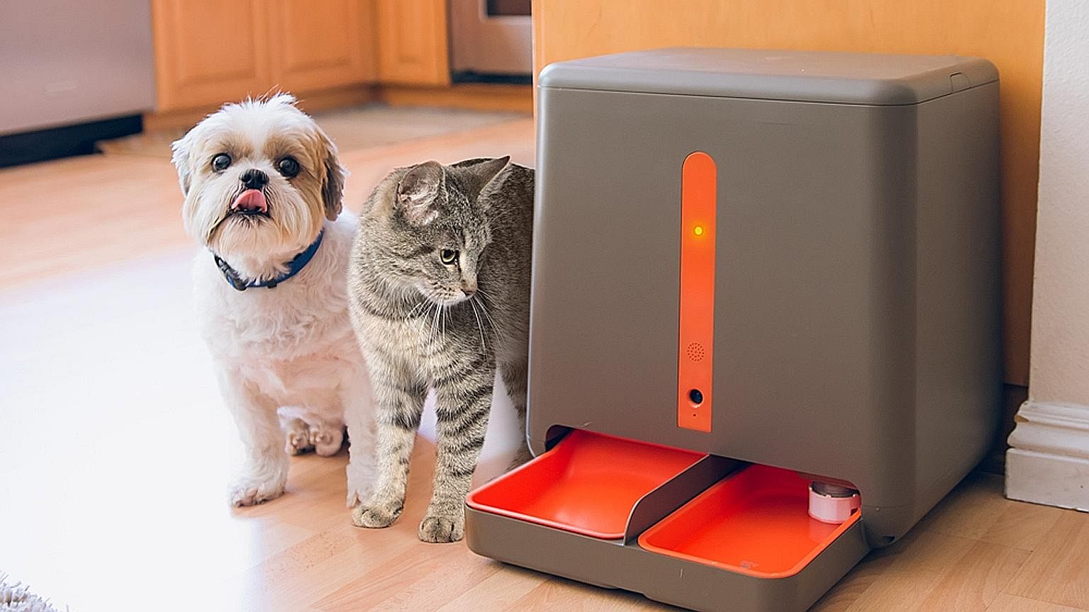 The gosh! easyFeed is equipped with a speaker and microphone so owners can call out to their pet buddies when food is to be dispensed.