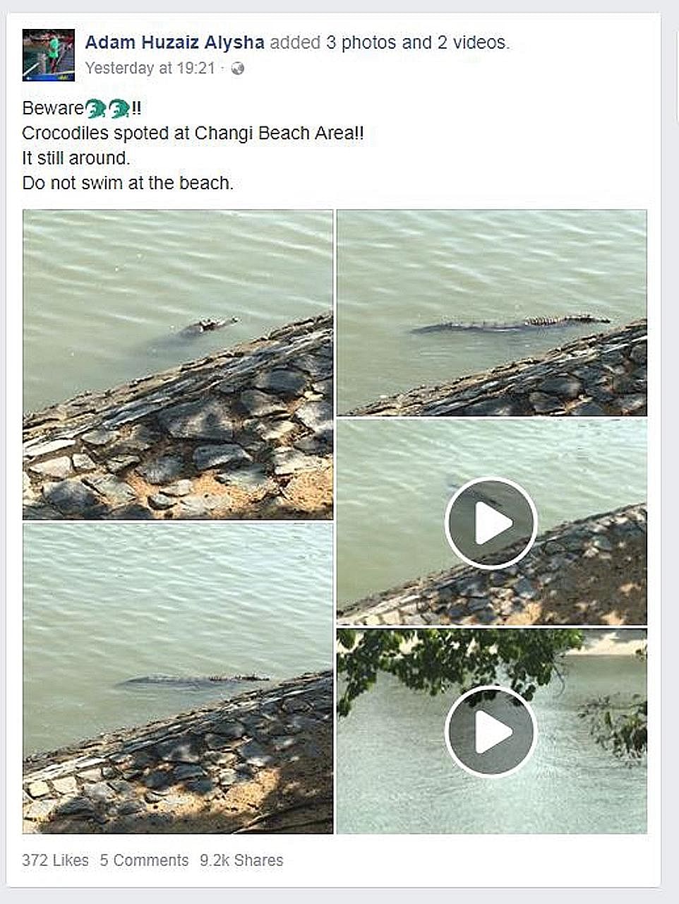 Mr Yusaini Abdul Rahim, an ICA officer who works at Changi Ferry Point Terminal, spotted the crocodile twice while he was on patrol. He posted some photos and videos of the reptile on Facebook to warn others to be careful while in the area.