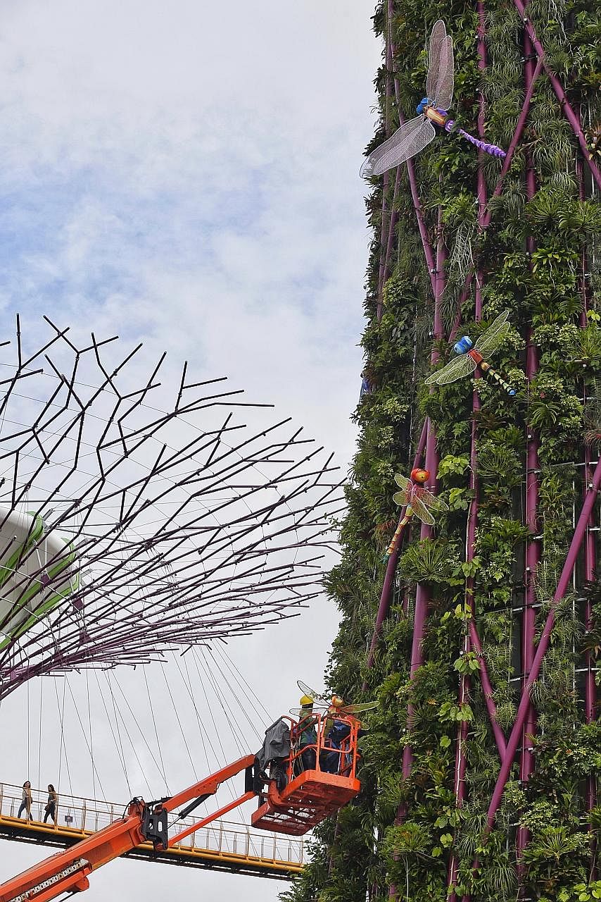 Above: Workers putting up dragonfly-shaped lanterns for the Flight of the Dragonflies installation on the facade of a Supertree at Gardens by the Bay yesterday. Below: The Trail of Abundance installation at the Gardens with its cornucopias of fruit a