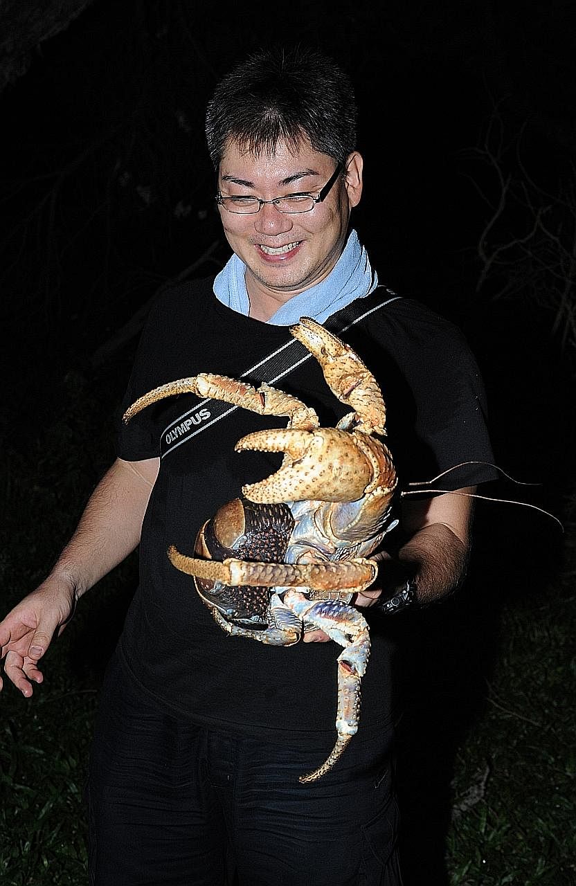 Dr Yoshihisa Fujita, a crab researcher, holding a coconut crab on a Christmas Island expedition with Professor Peter Ng in 2010.