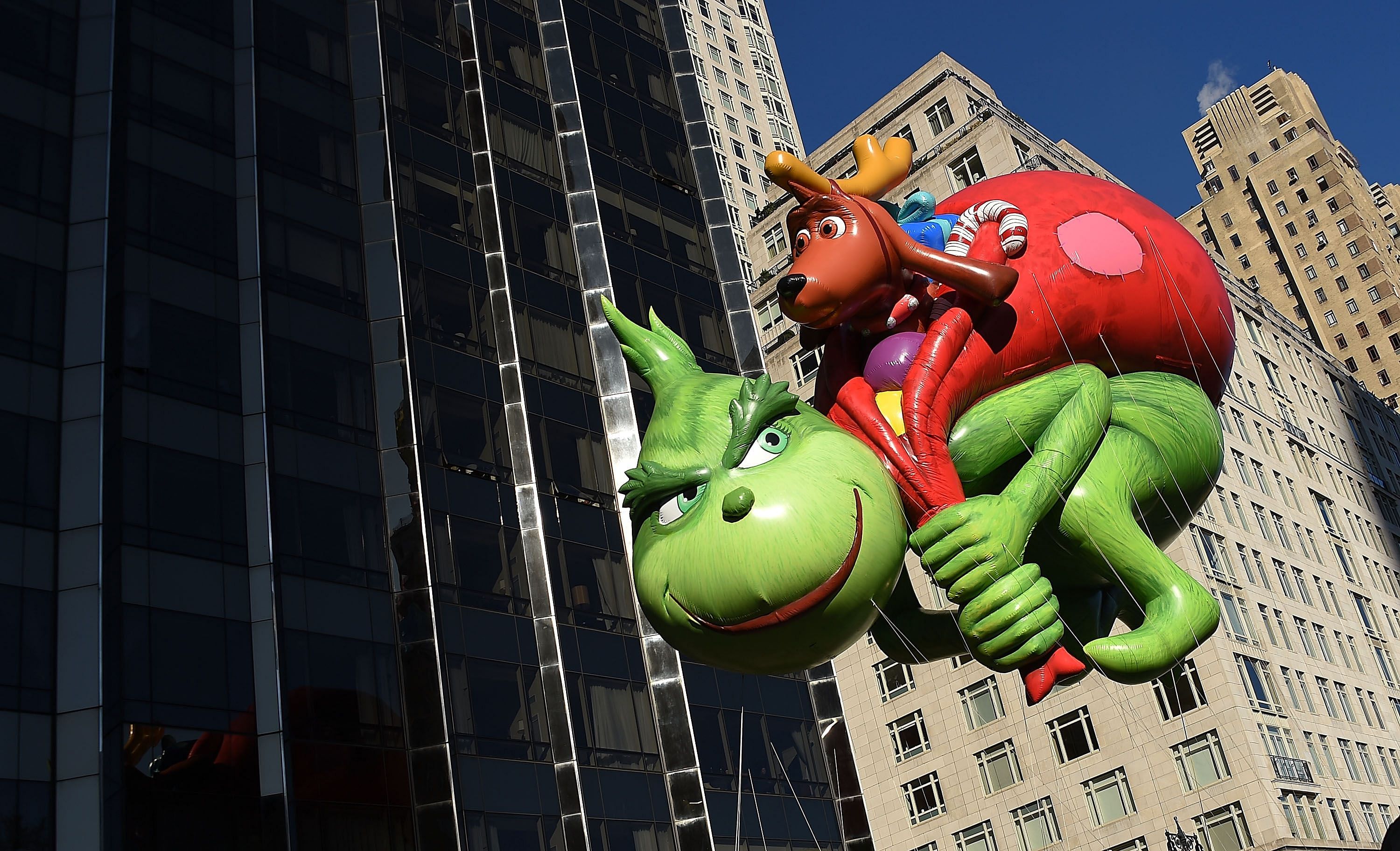 Steer clear of the Grinch.  This green children’s story character was created by Dr Seuss for his book, How The Grinch Stole Christmas. The balloon in his likeness is seen here during the 91st Annual Macy's Thanksgiving Day Parade  in New York City. PHOTO