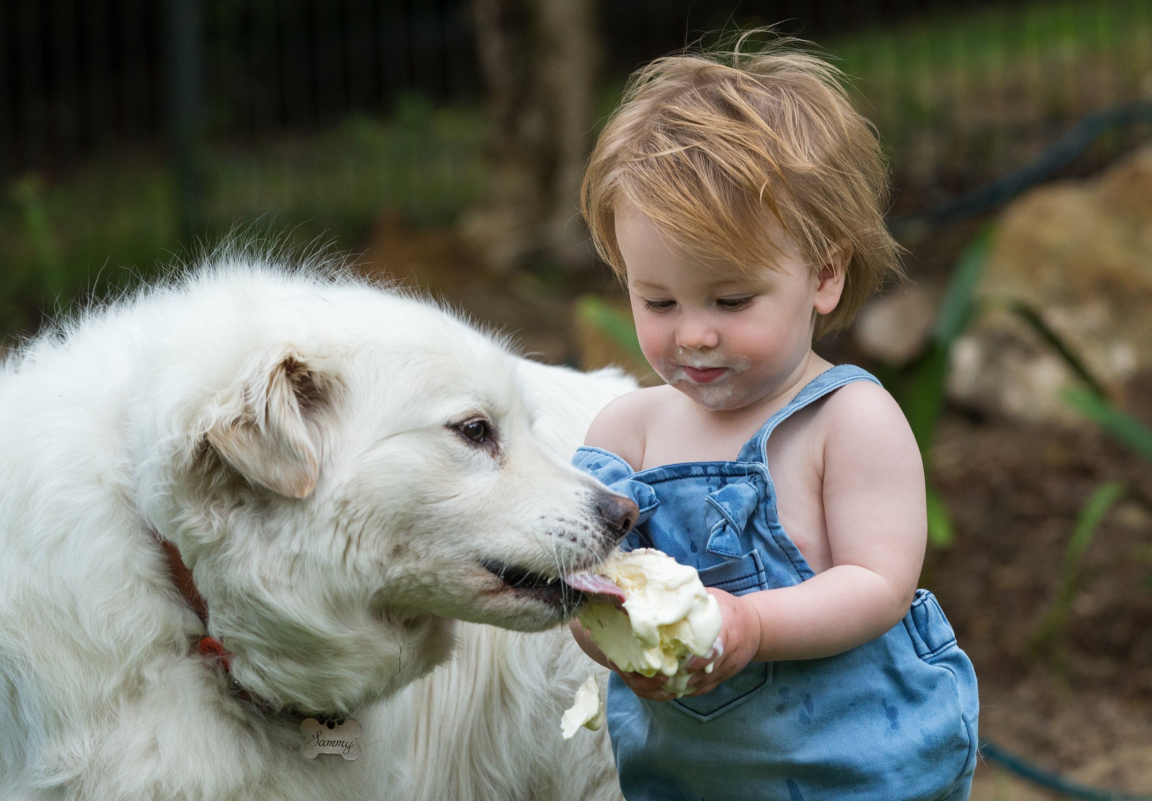 A lucky, licky dog with a generous little girl. According to a certain a Swiss belief, a dollop of ice cream falling on the ground may bring them luck if it happens on New Year’s Day. PHOTO: EPA-EFE