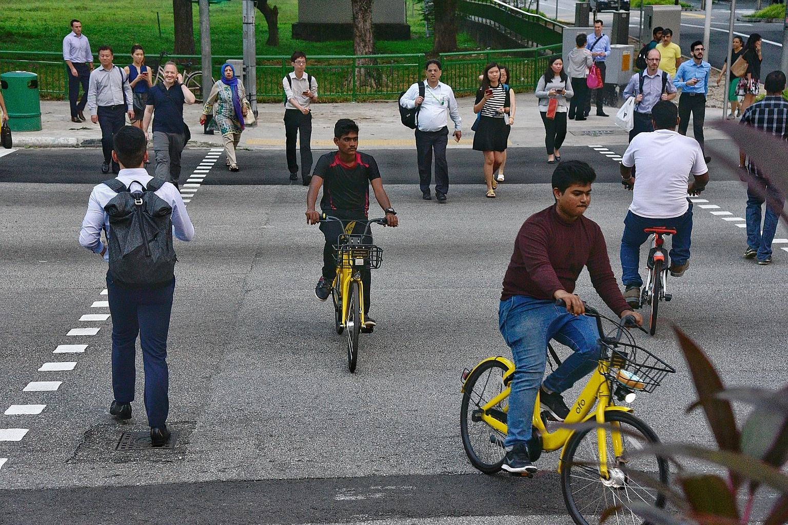 A bicycle seat that has not been adjusted properly can result in pain in the lower back, knees or calves.