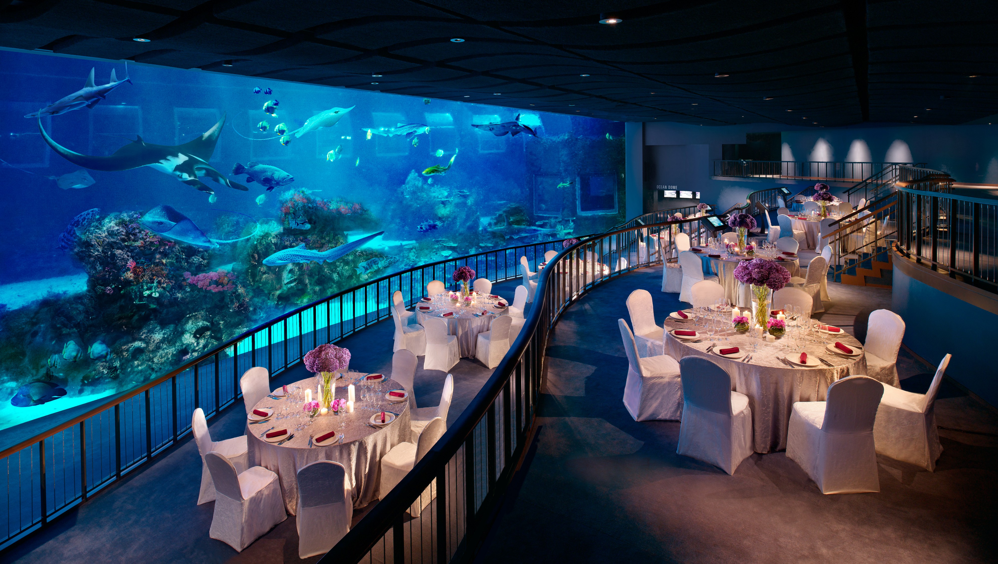 Cny Feasts And Festivities At Resorts World Sentosa The Straits Times