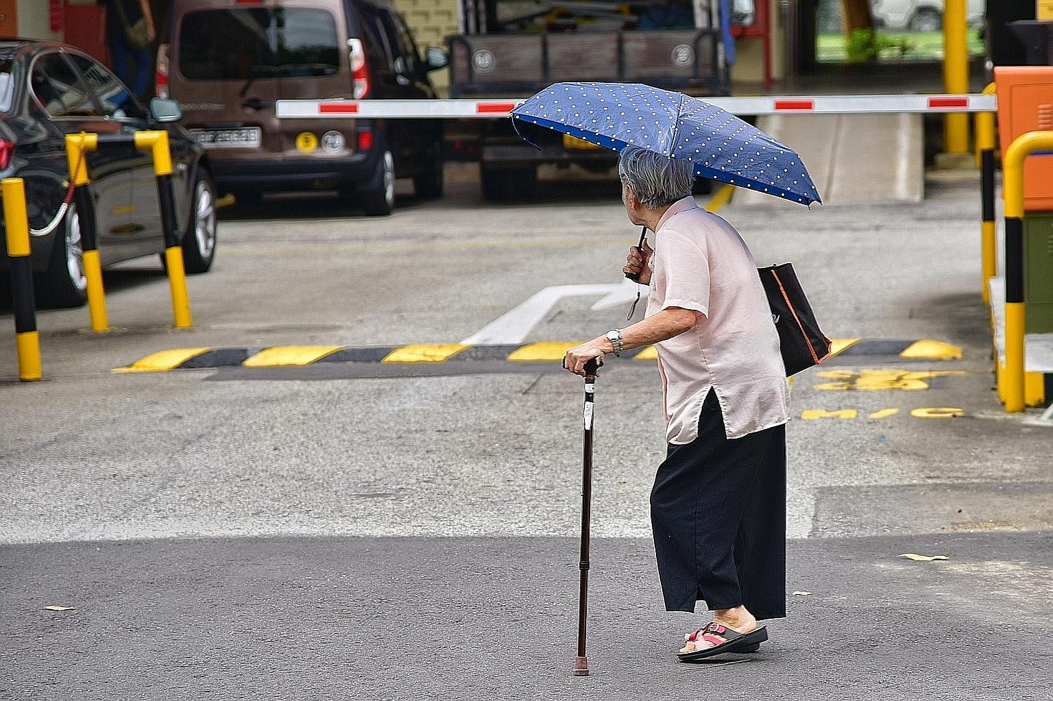 According to estimates from the Ministry of Health, half of Singaporeans who are healthy at the age of 65 are at risk of developing a long-term disability over their lifetimes.