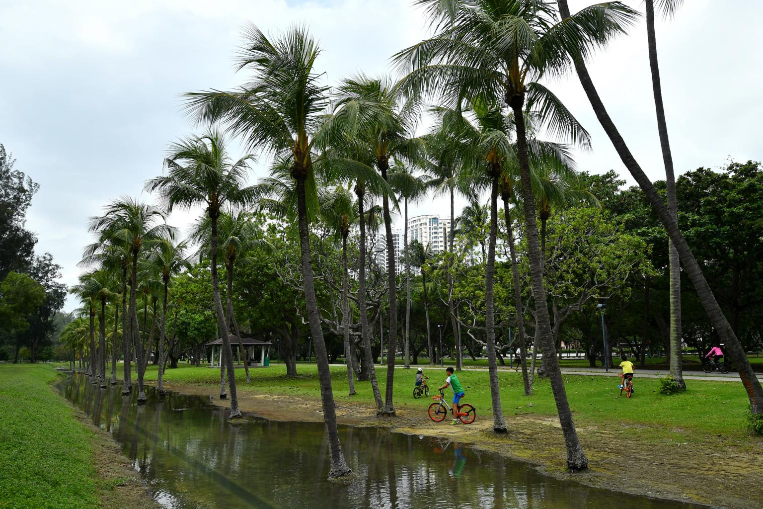 Drains and canal overflow at East Coast Park after unusually high tide |  The Straits Times