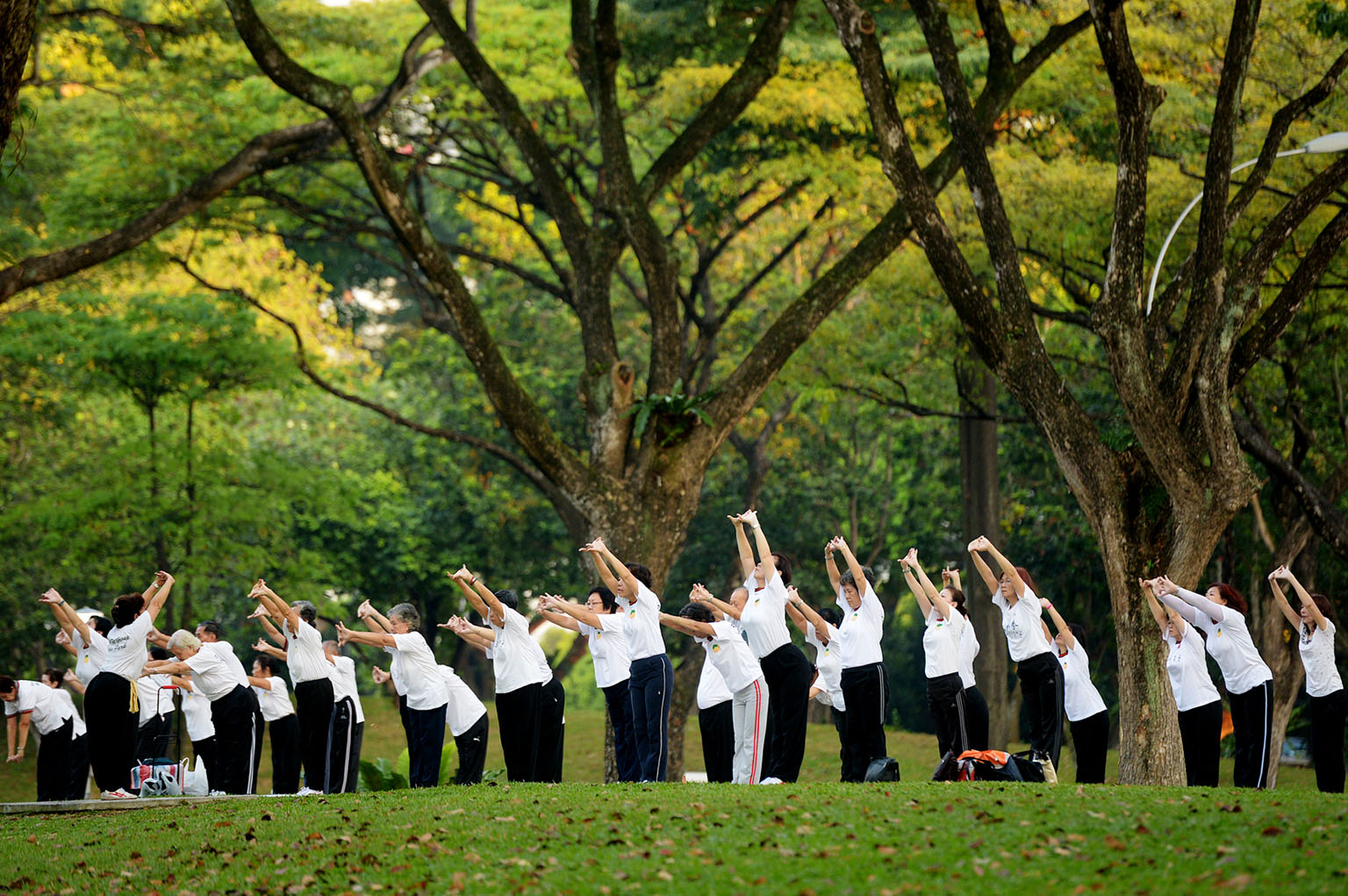Minister of State for Manpower Sam Tan said that "with extended lifespans and improved health among seniors, there will be scope to raise the age of re-employment further again over time".
