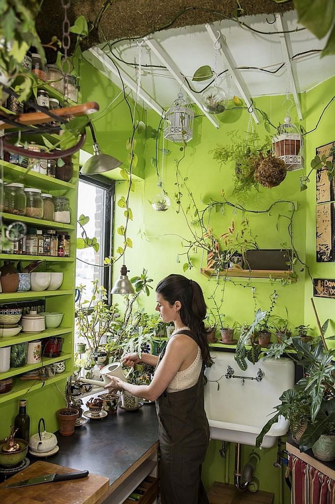 There are nearly 700 houseplants in the home of Ms Summer Rayne Oakes (above); and more than 11,000 plants in the Etsy headquarters (above left) in Brooklyn.
